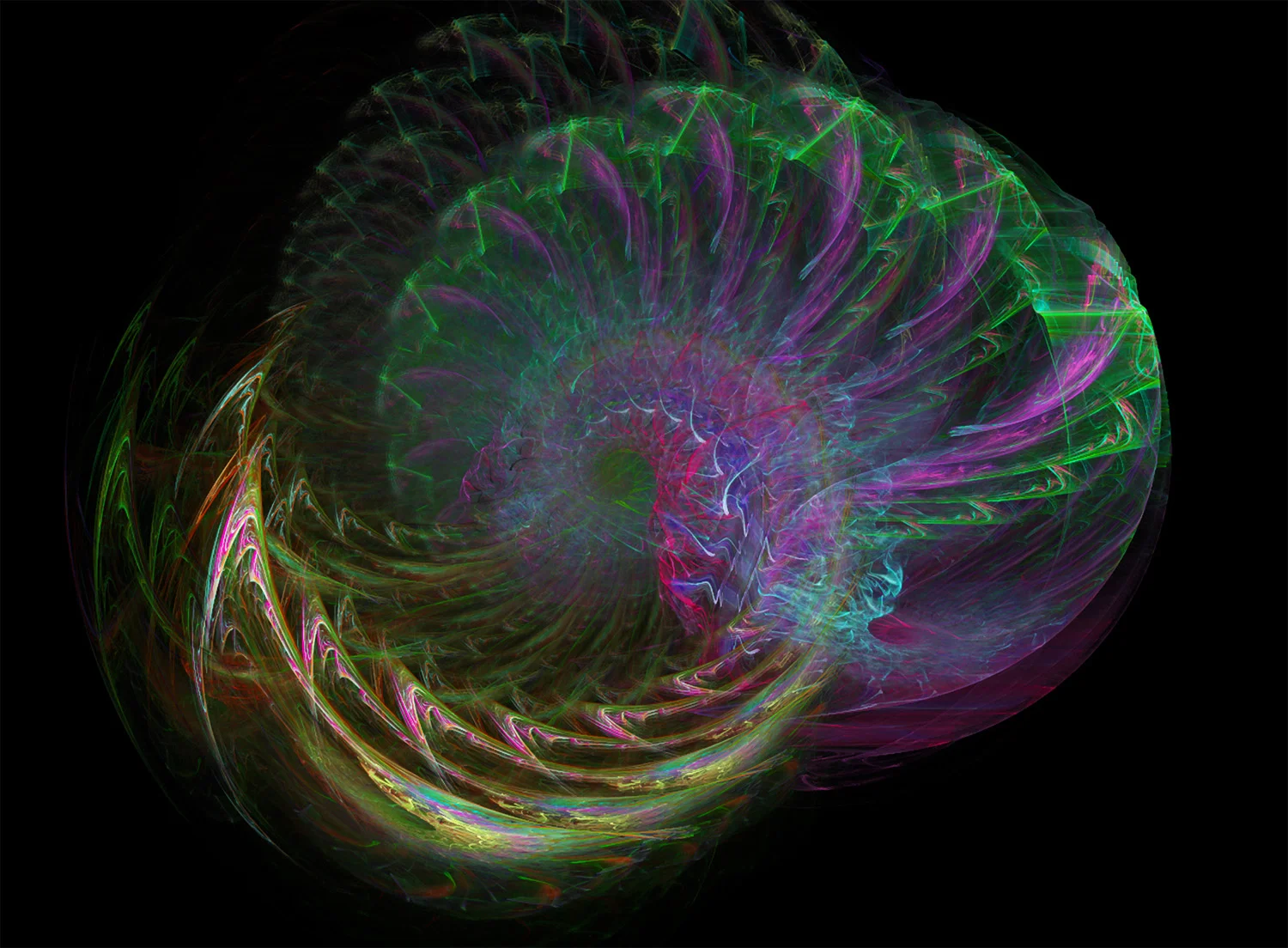 Fractal No. 19 © Kelly Naylor 2009