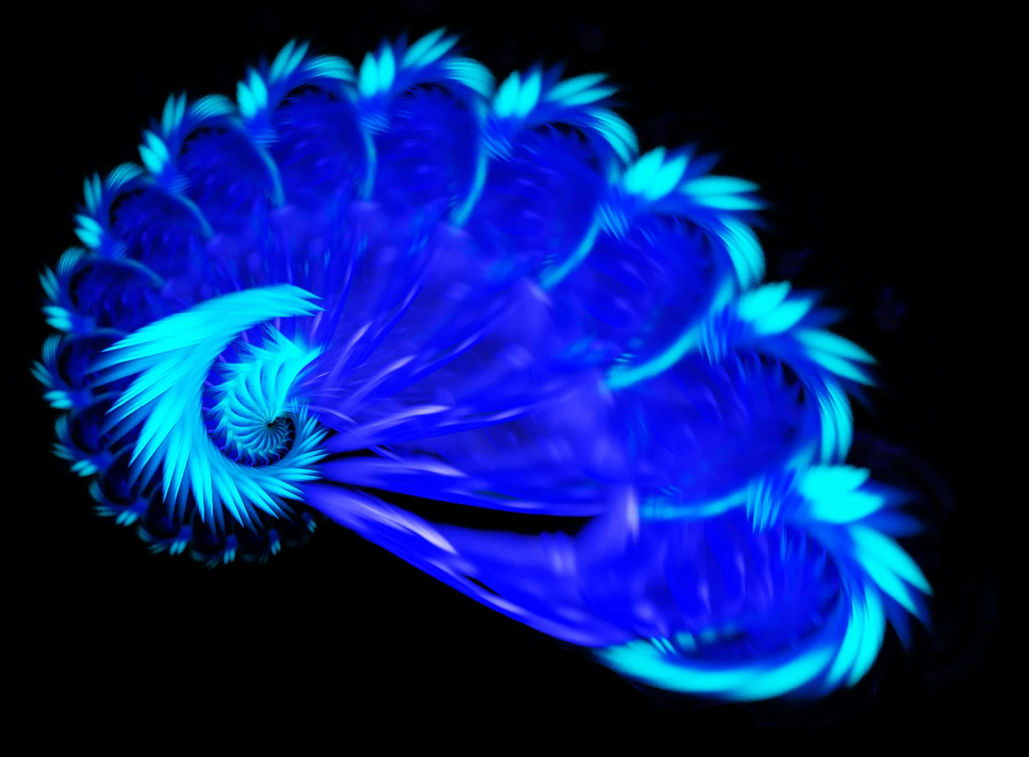 Fractal No. 18 © Kelly Naylor 2009