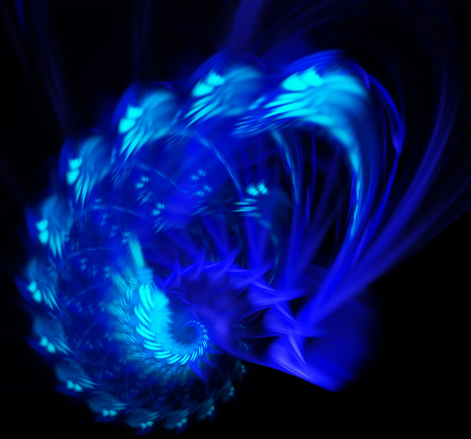 Fractal No. 17 © Kelly Naylor 2009