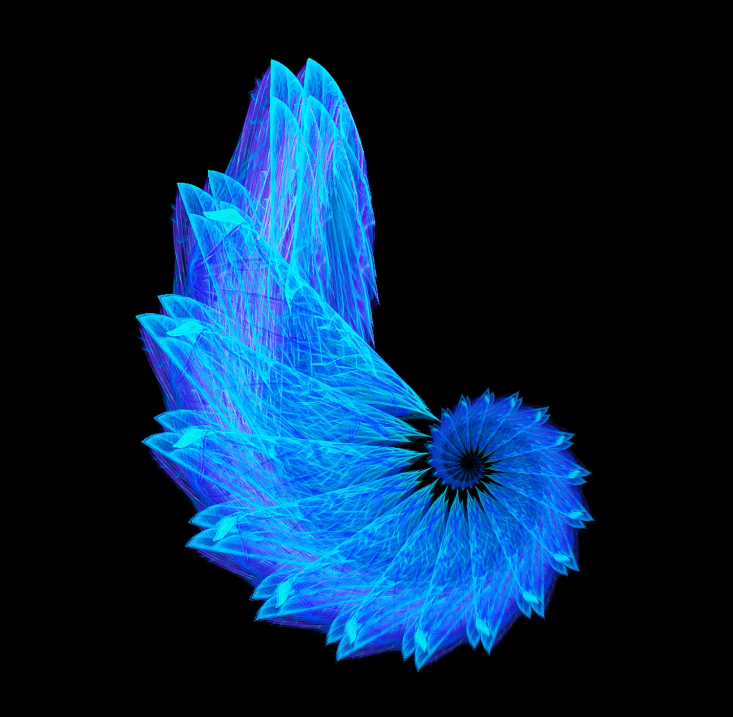 Fractal No. 16 © Kelly Naylor 2009