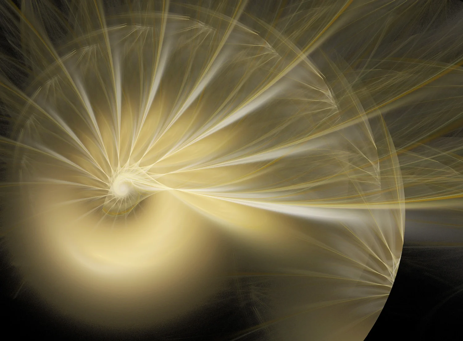 Fractal No. 15 © Kelly Naylor 2009