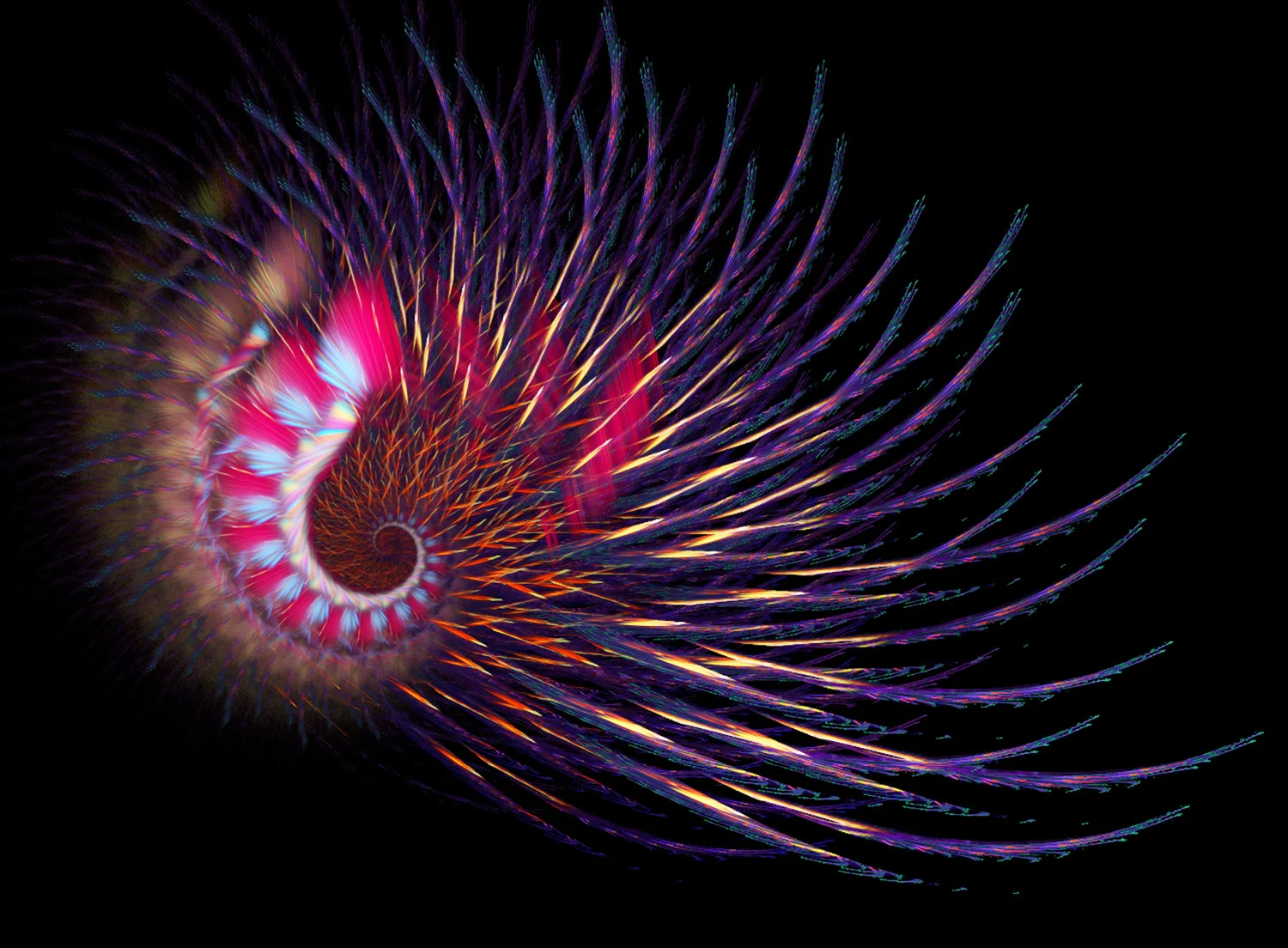 Fractal No. 14 © Kelly Naylor 2009