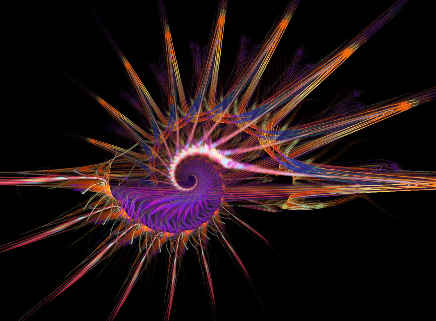 Fractal No. 13 © Kelly Naylor 2009