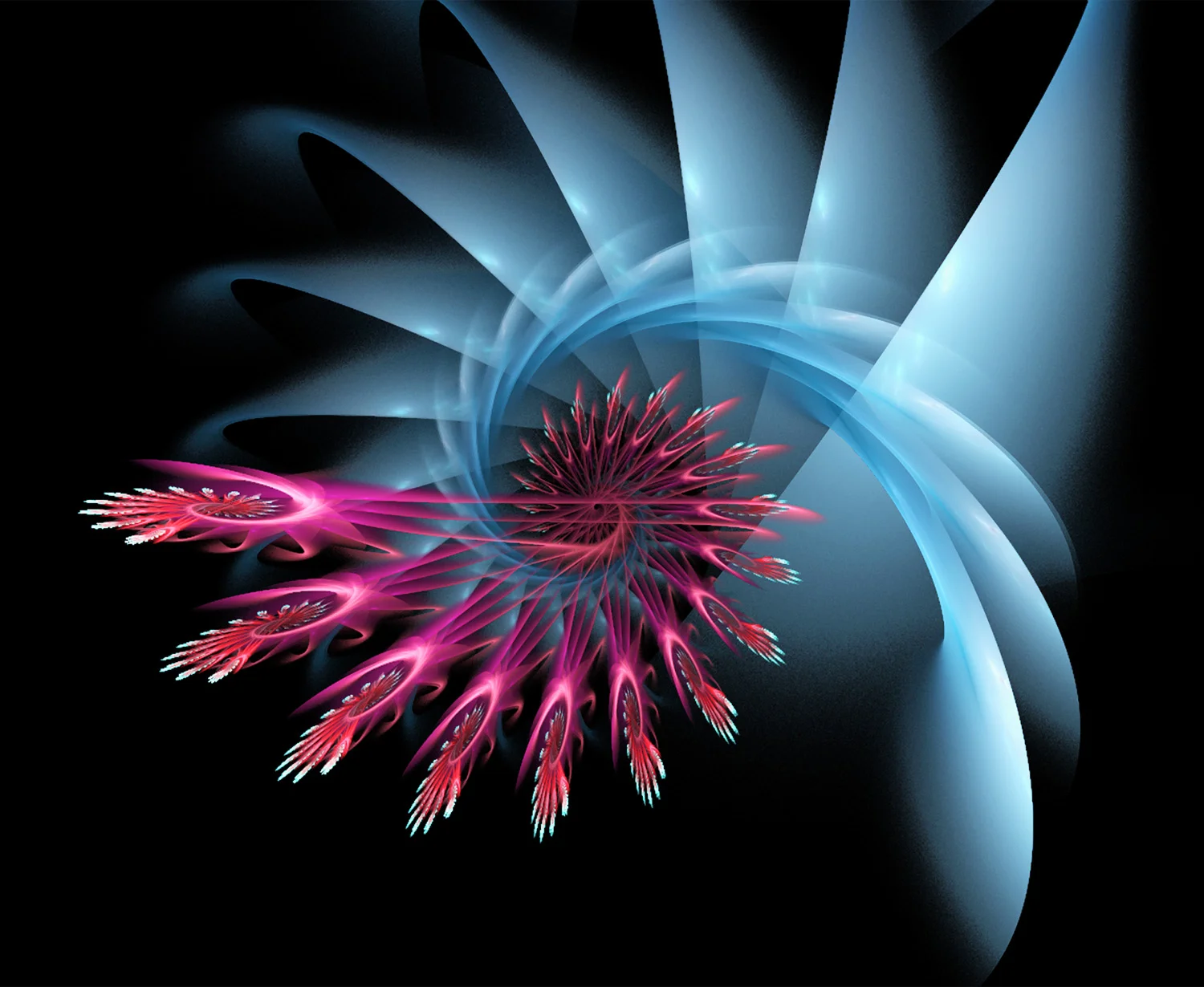 Fractal No. 10 © Kelly Naylor 2009