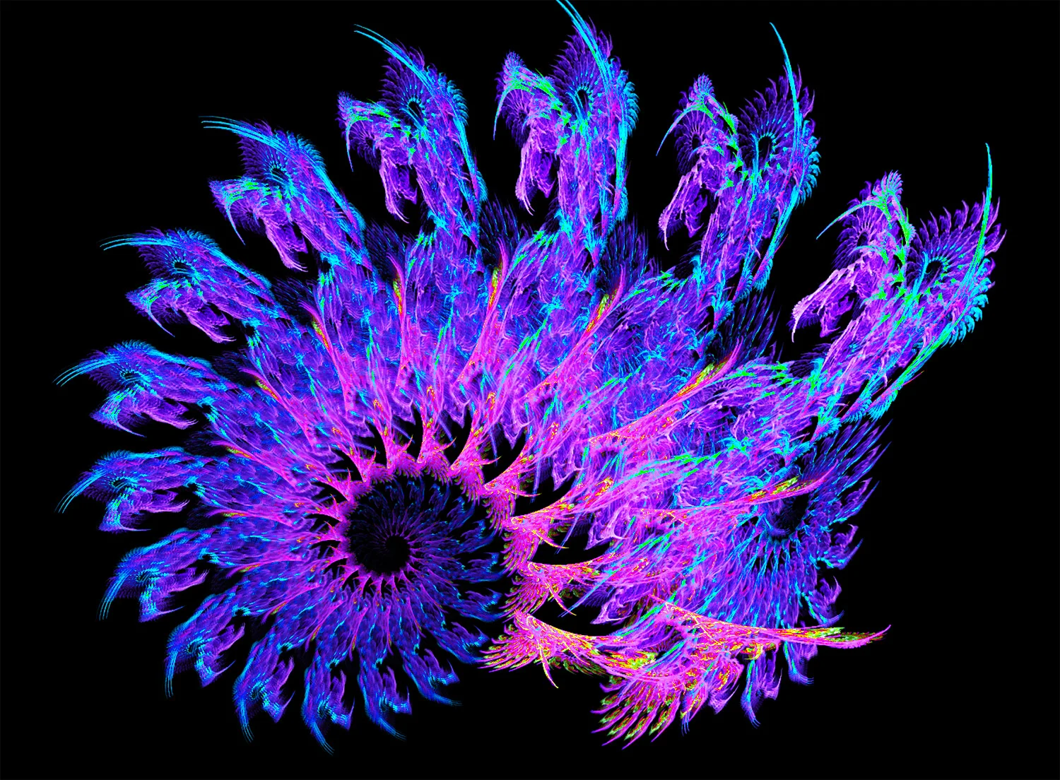 Fractal No. 8 © Kelly Naylor 2009