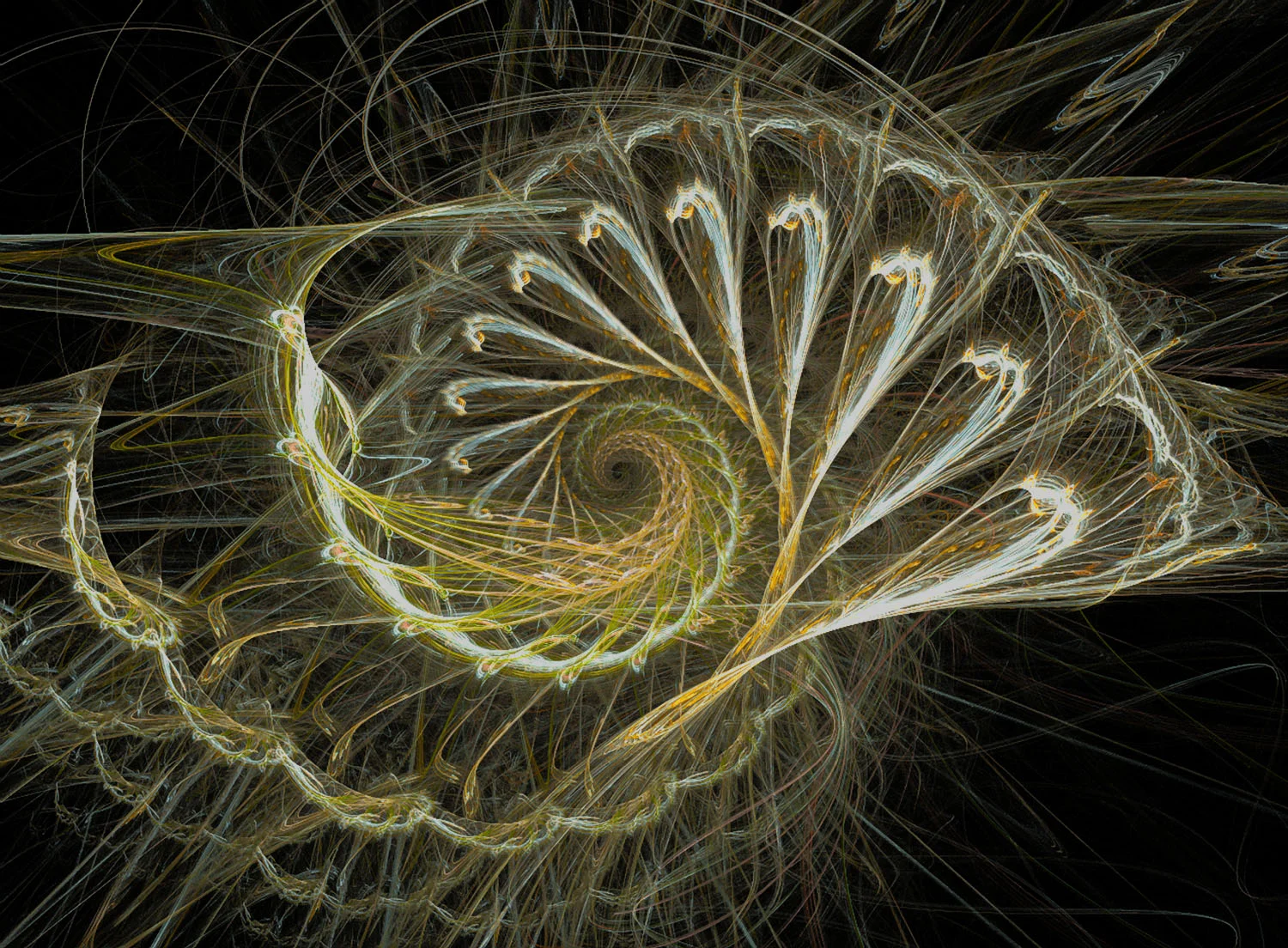 Fractal No. 4 © Kelly Naylor 2009