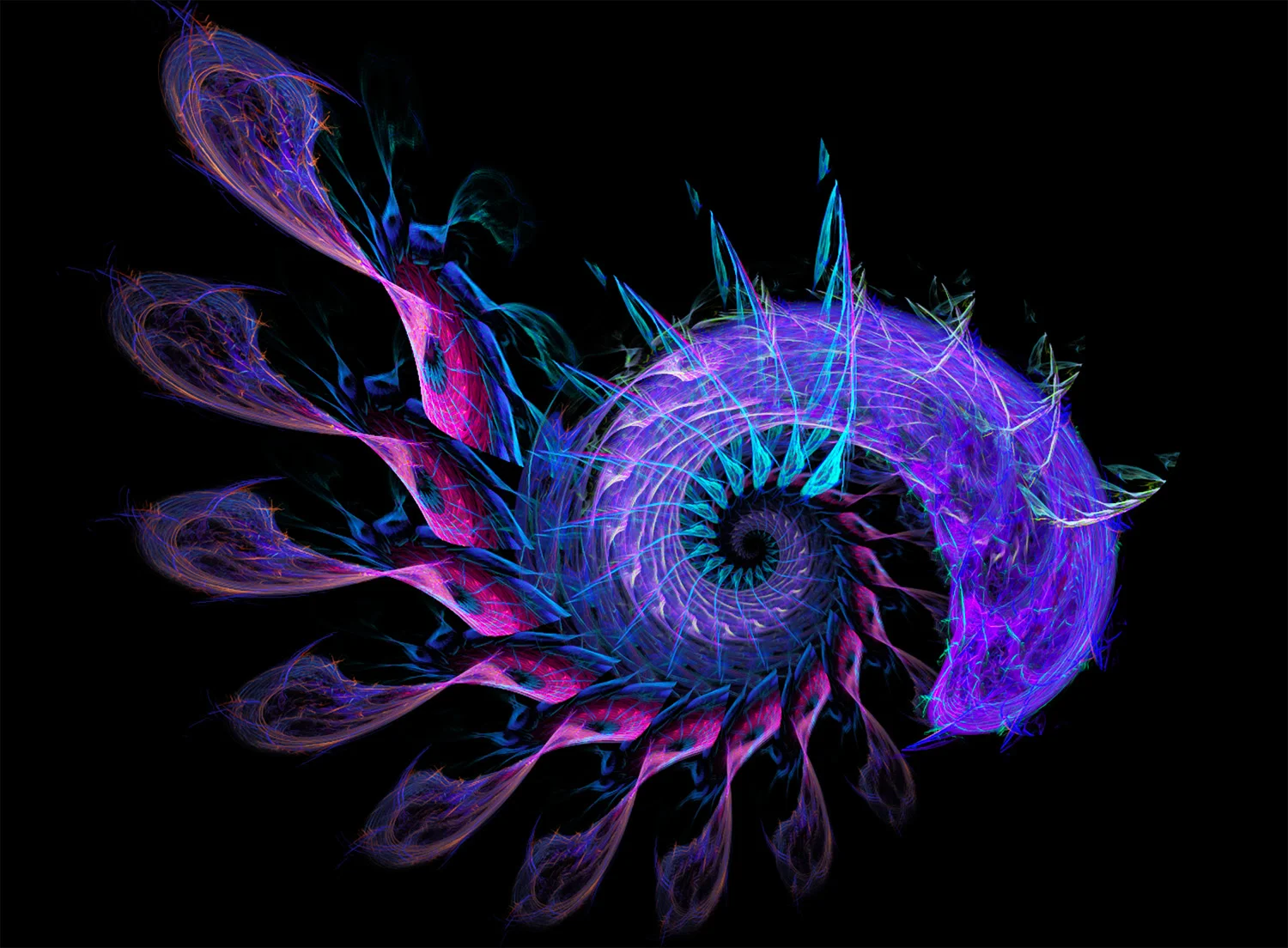 Fractal No. 1 © Kelly Naylor 2009