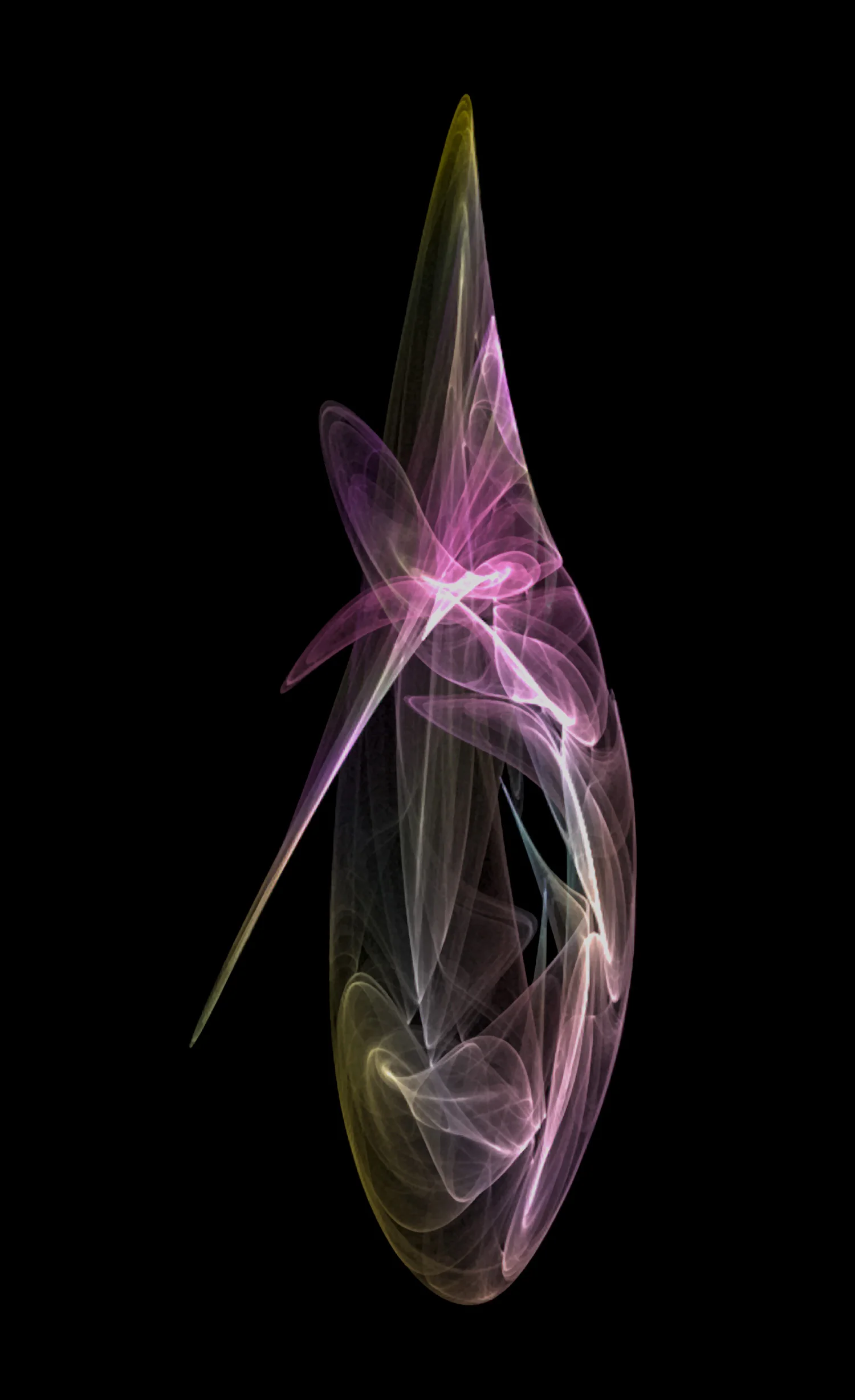 Orchid © Kelly Naylor 2010