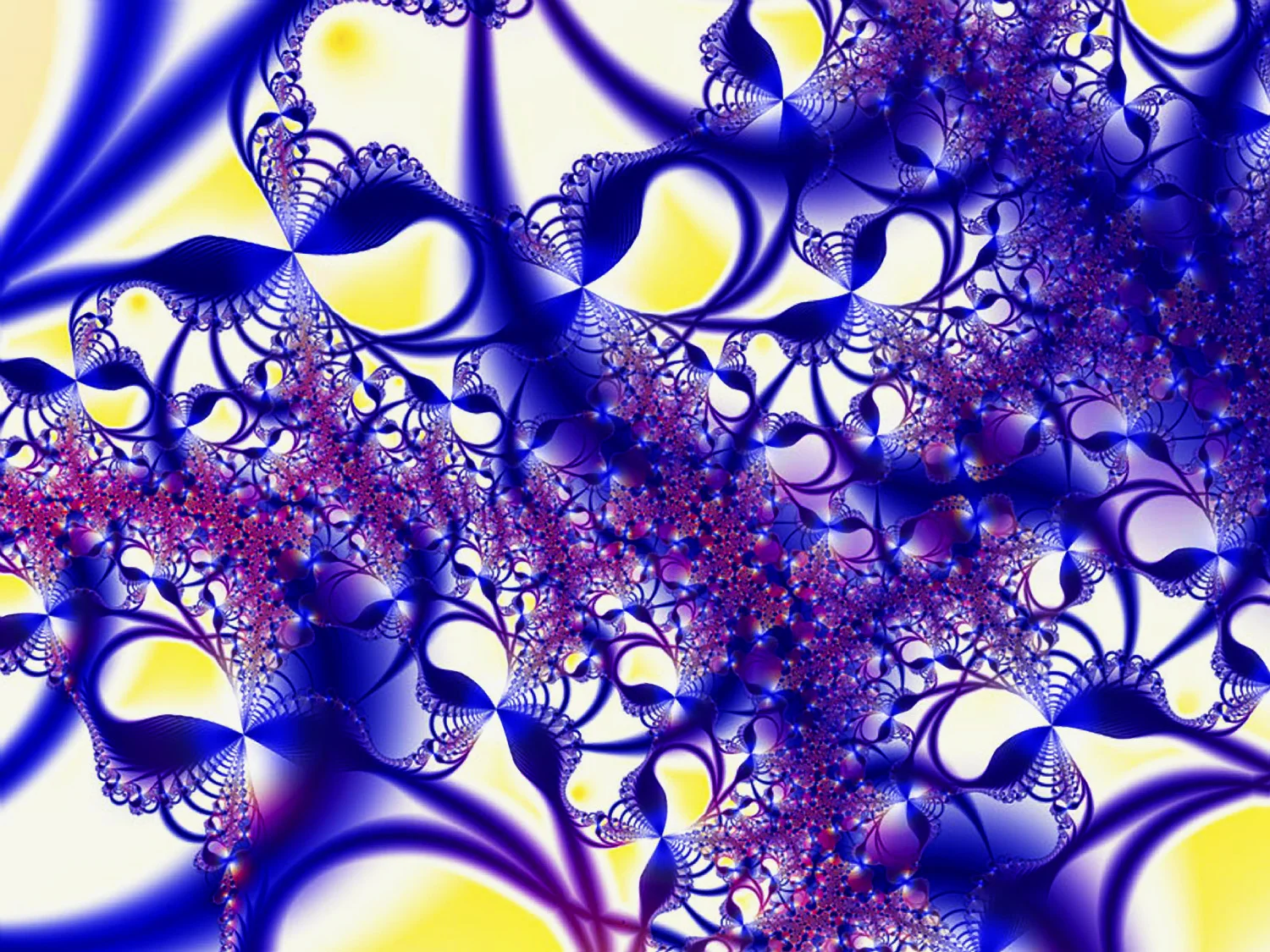 Venus Flytrap © Kelly Naylor 2011