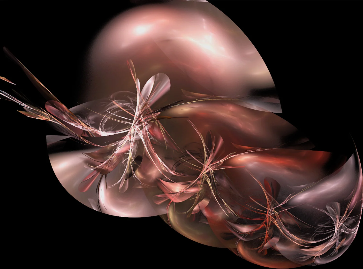 Fractal No. 359 © Kelly Naylor 2011