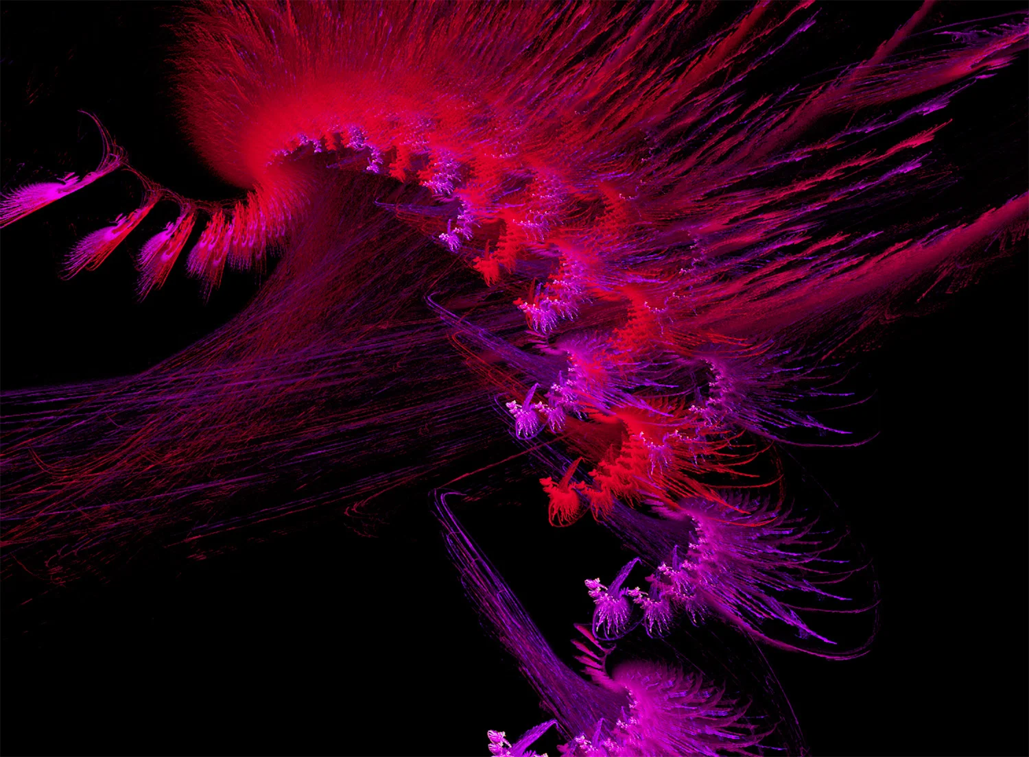 Fractal No. 495 © Kelly Naylor 2011