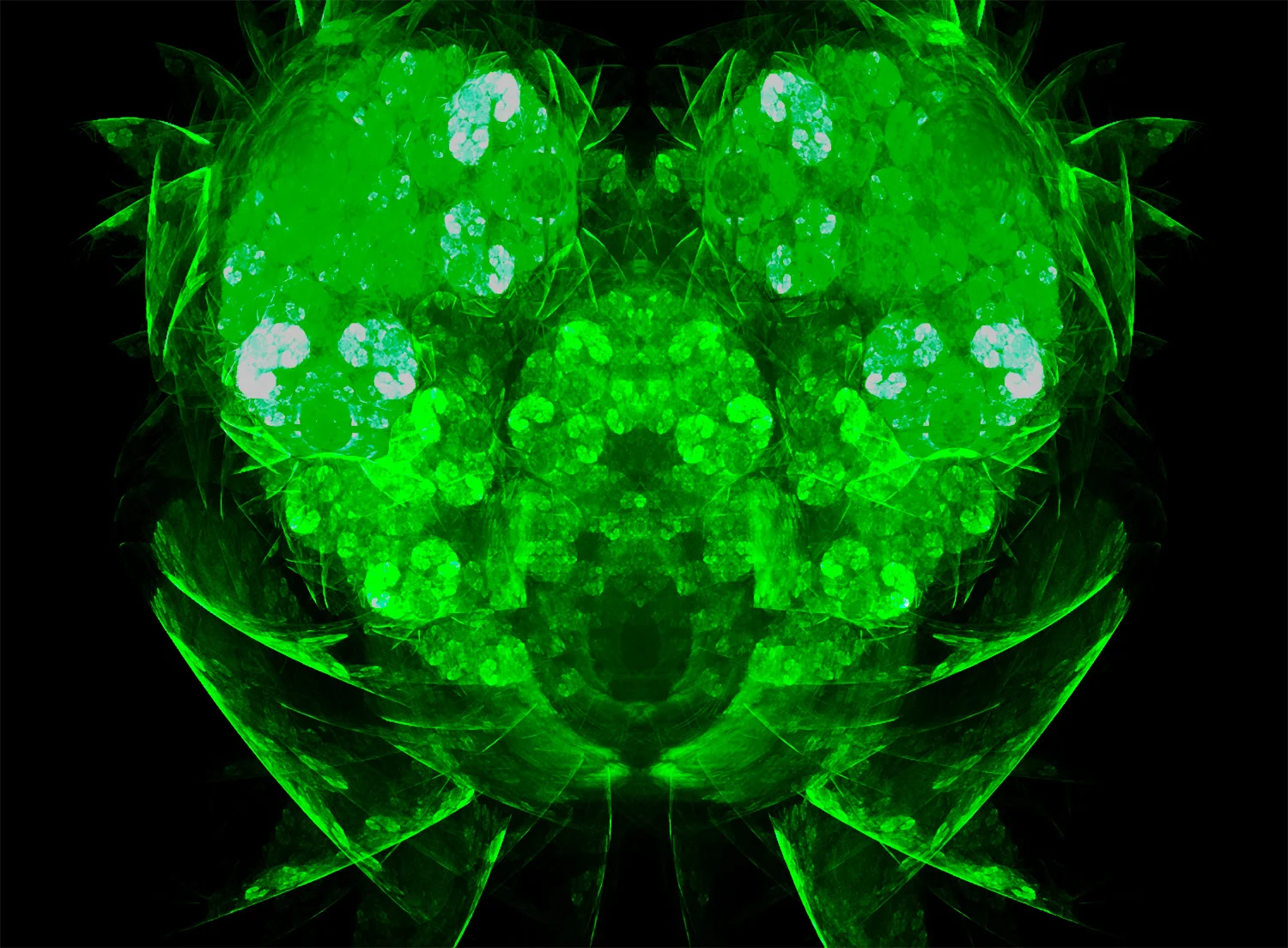 Fractal No. 497 © Kelly Naylor 2011