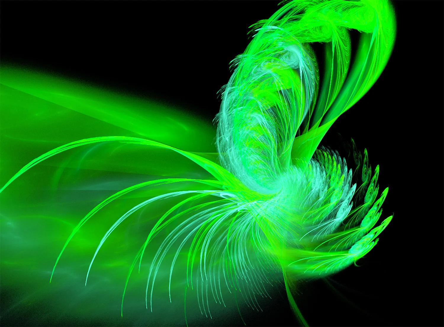Fractal No. 538 © Kelly Naylor 2011