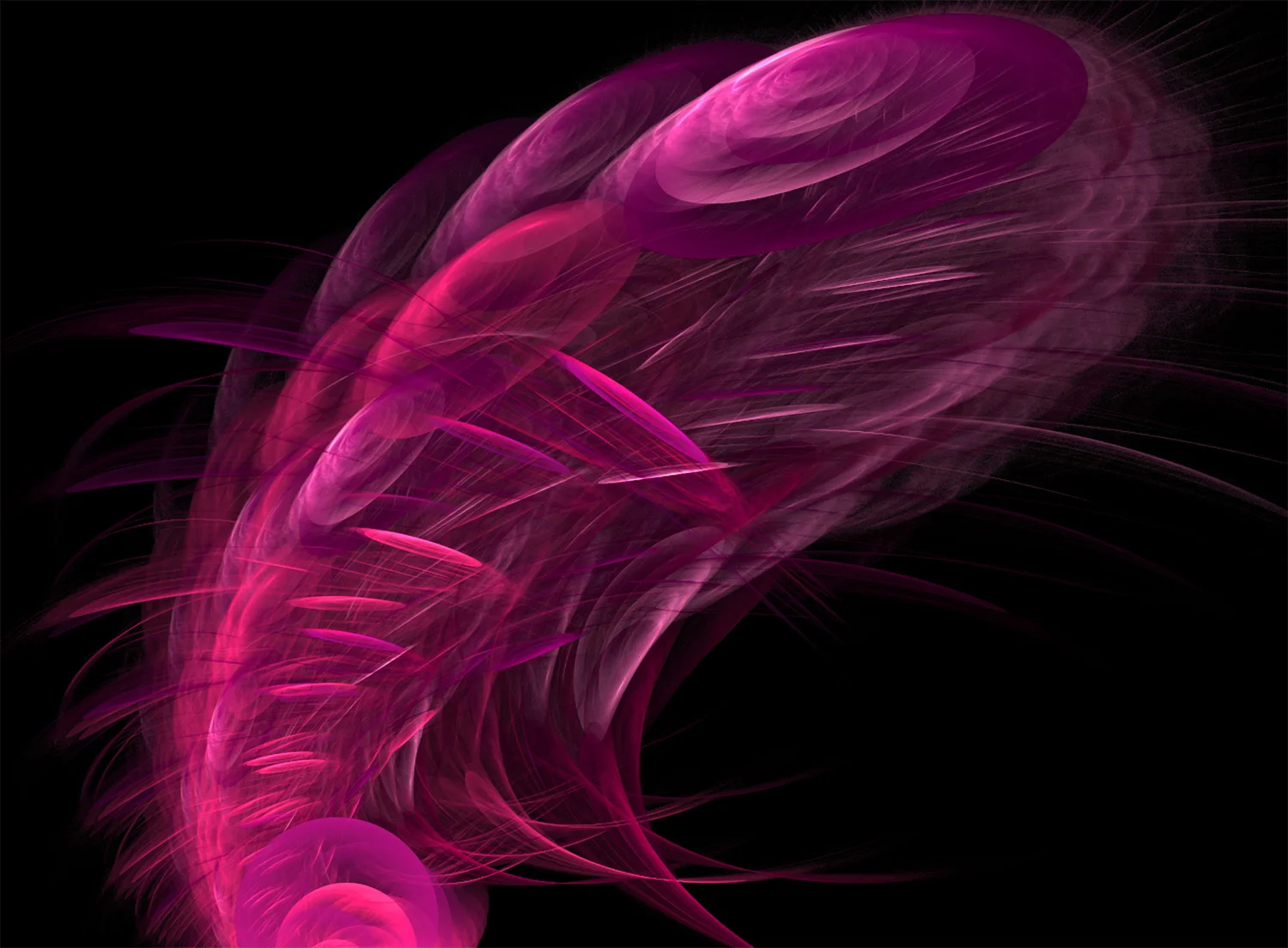 Fractal No. 531 © Kelly Naylor 2011