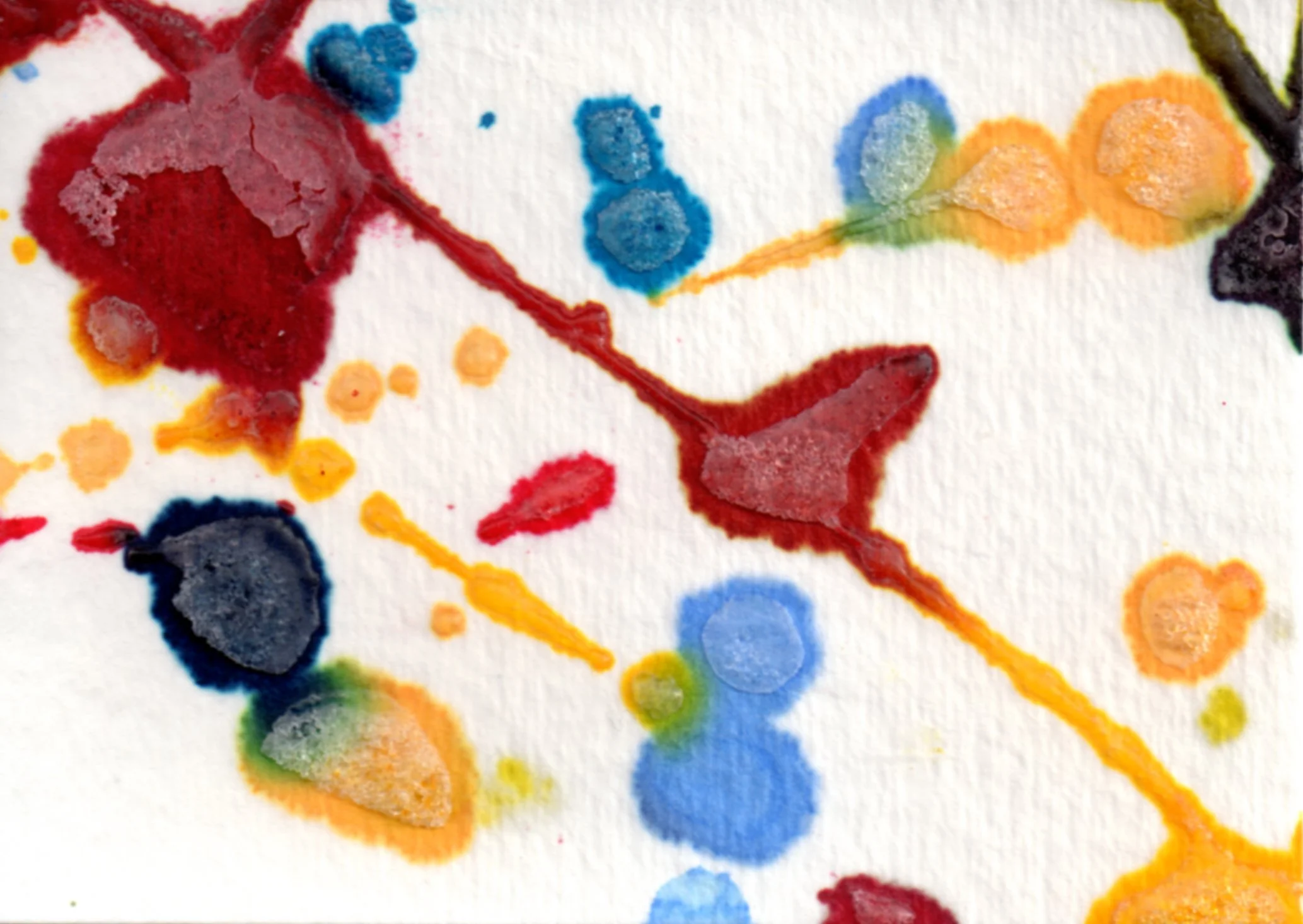 ACEO 109