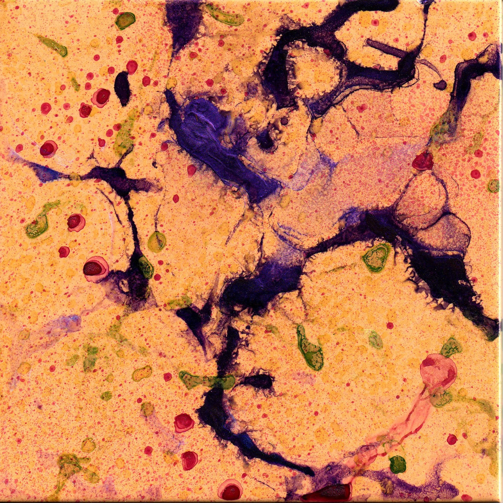 T6-3
Alcohol Inks on 12"x12" ceramic tile
