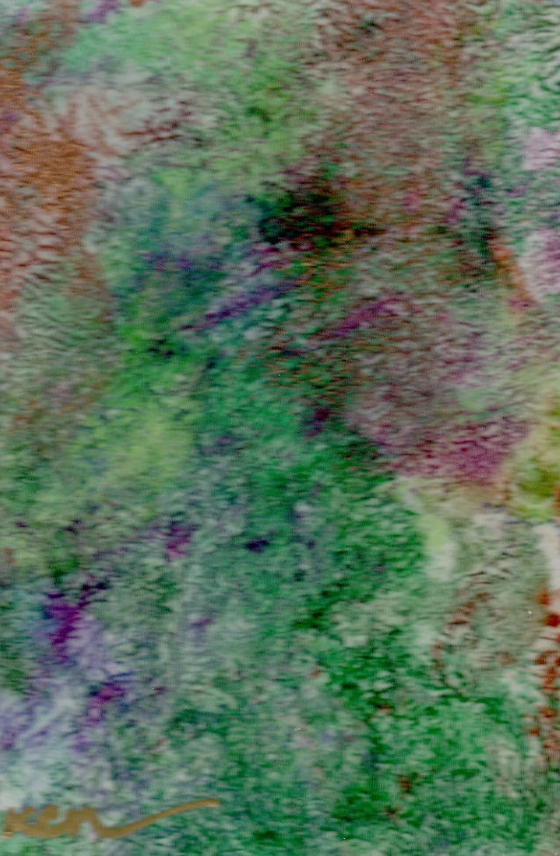 Fields Afar.jpg