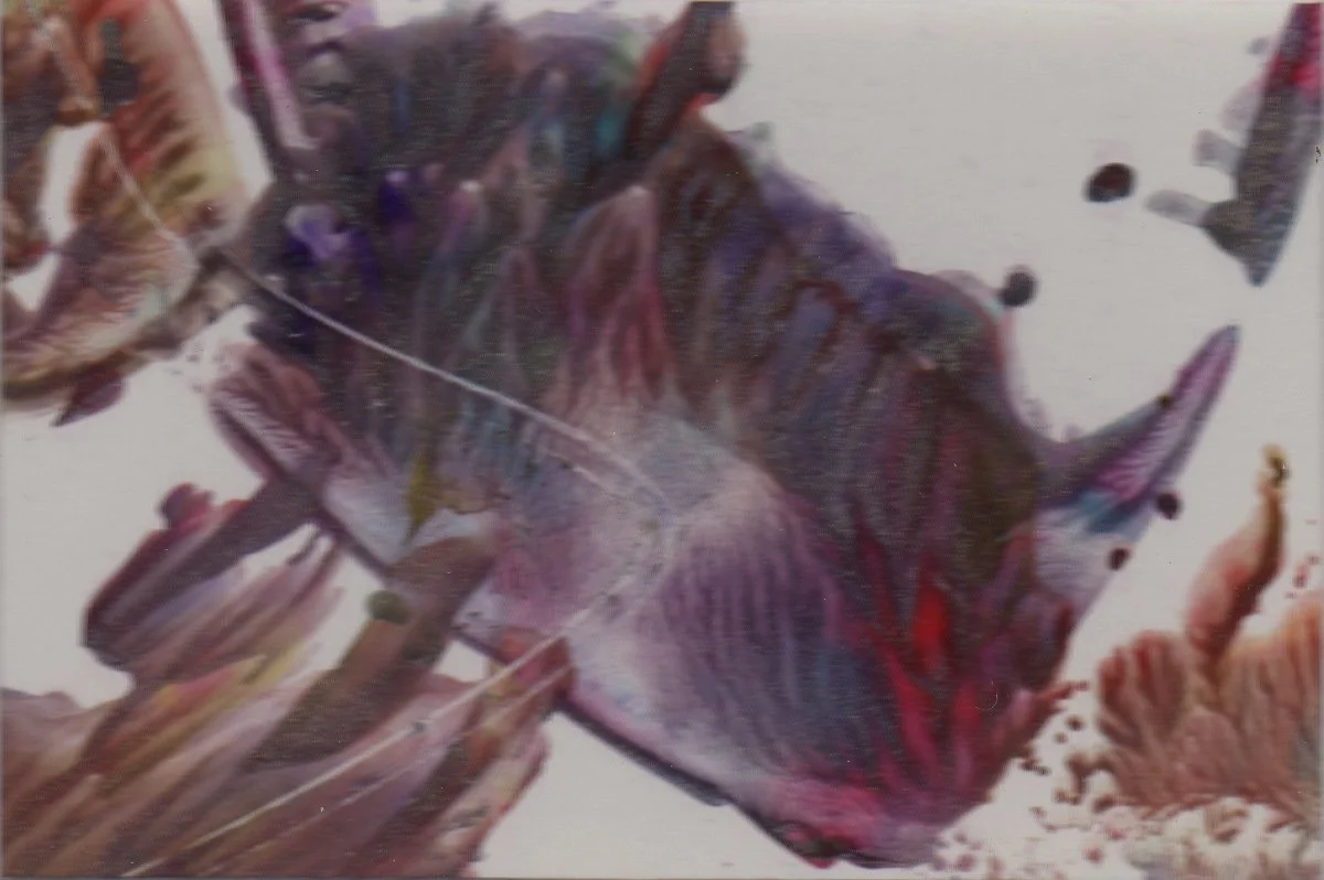 Sea Urchin.jpg