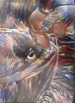 RainbowTrout.jpg