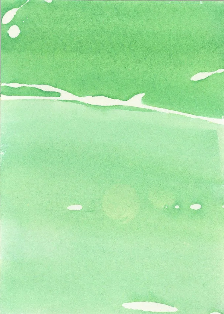ACEO 050