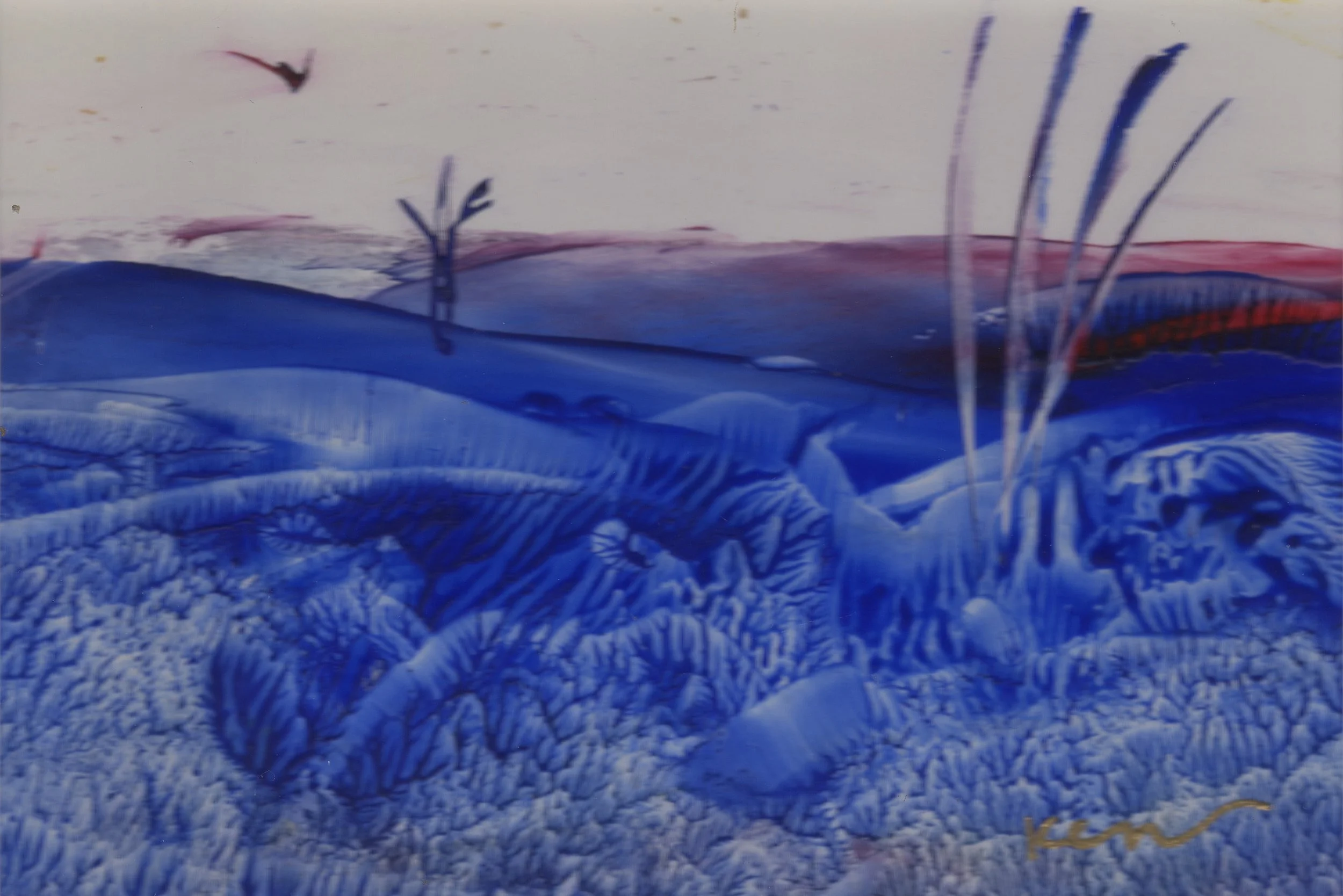 Desert Dawn.jpg