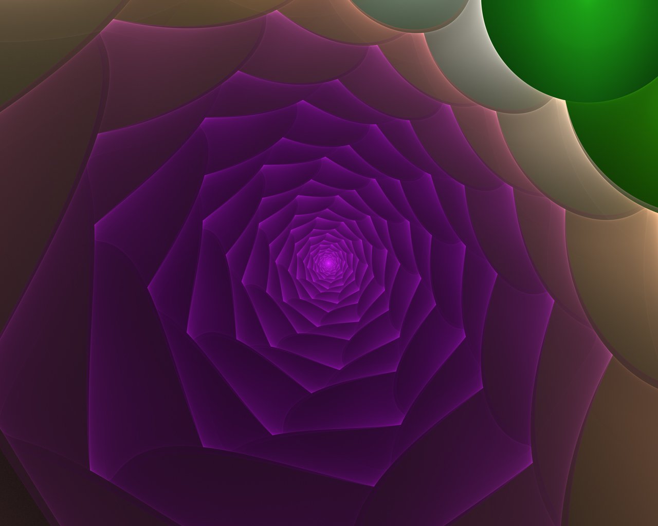 F_1580.jpg