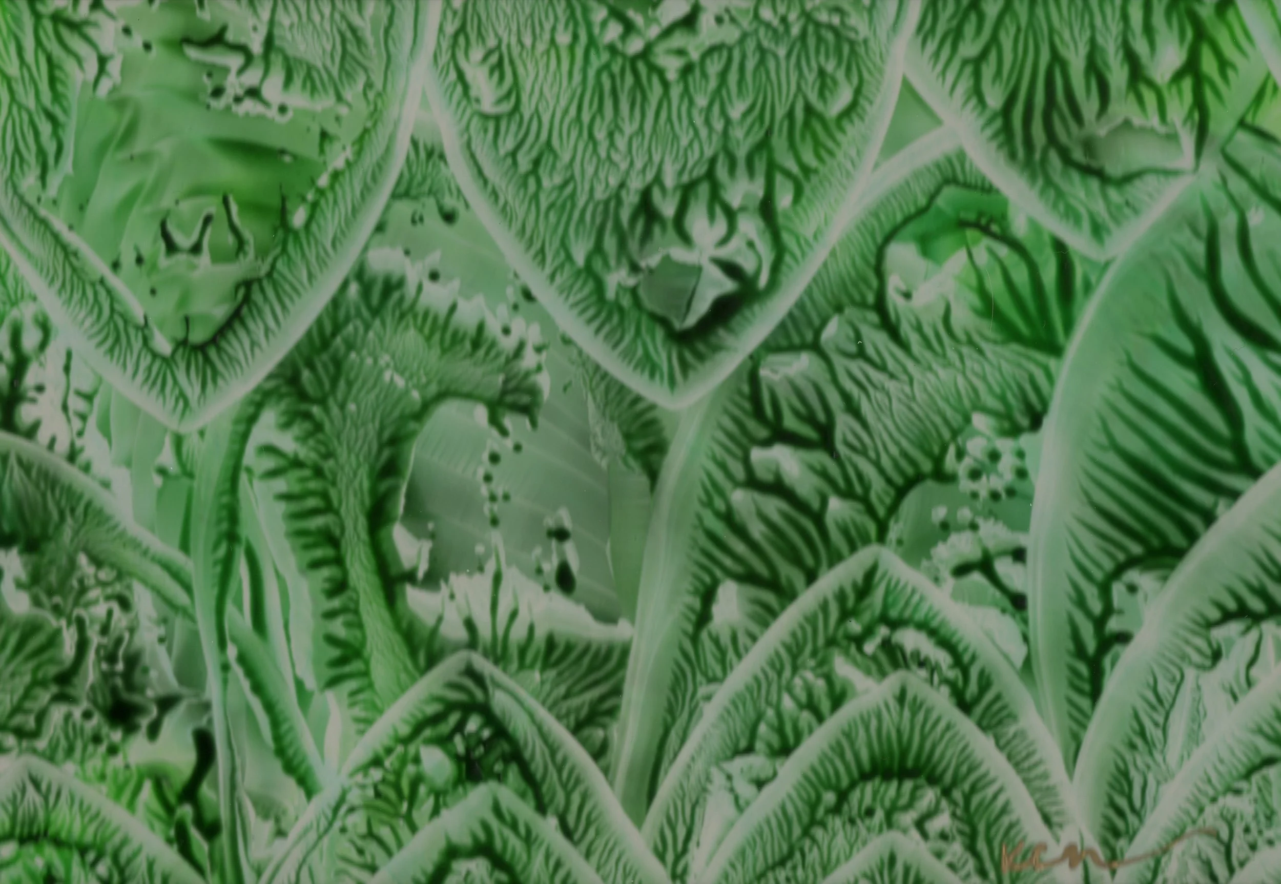 Octopus's Garden.jpg
