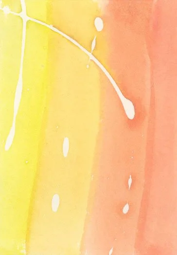 ACEO 055