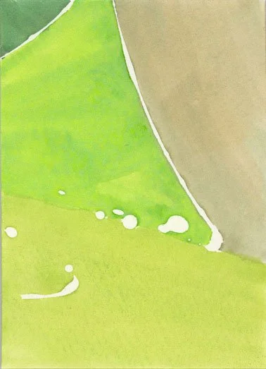 ACEO 051