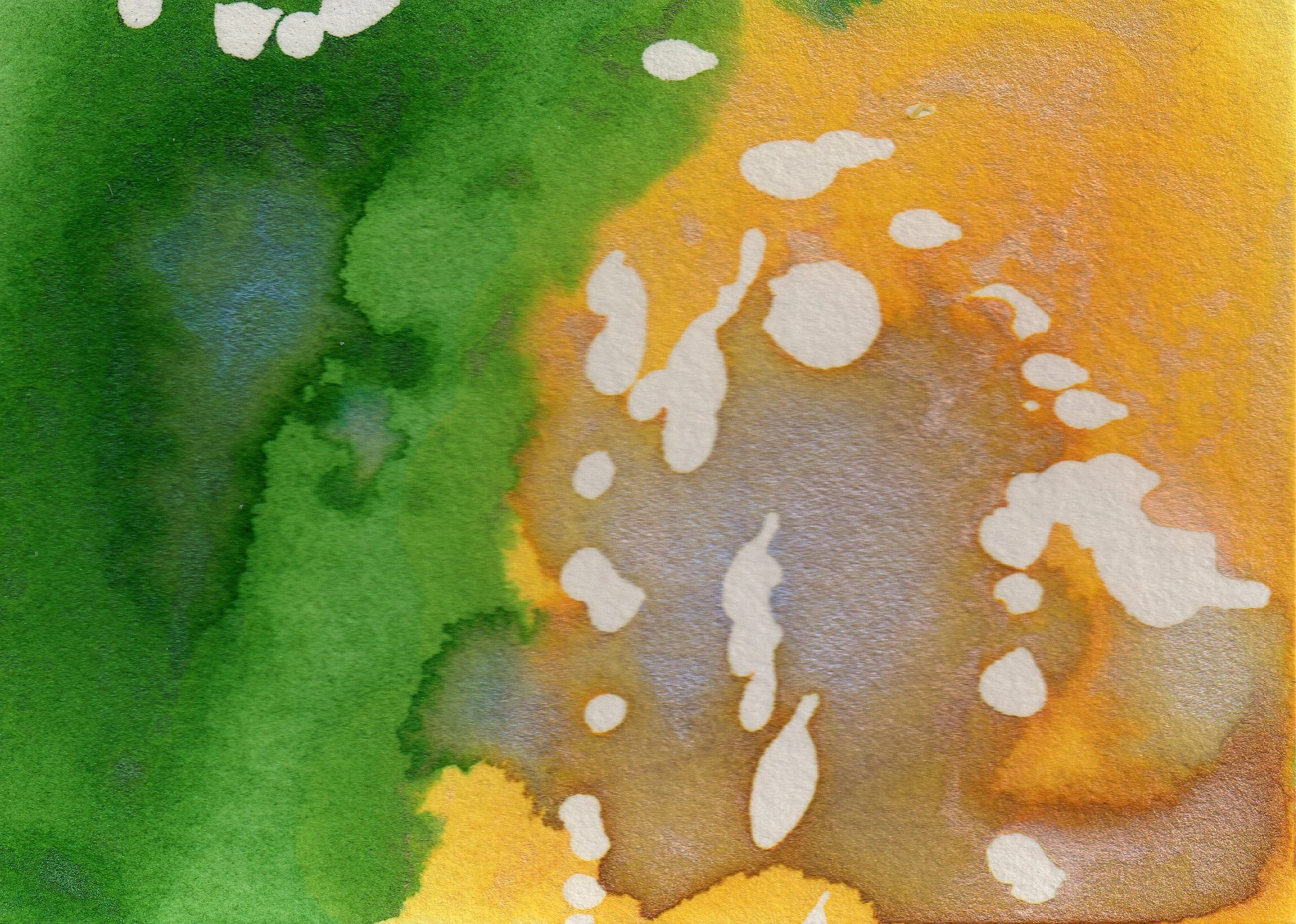 ACEO 097
