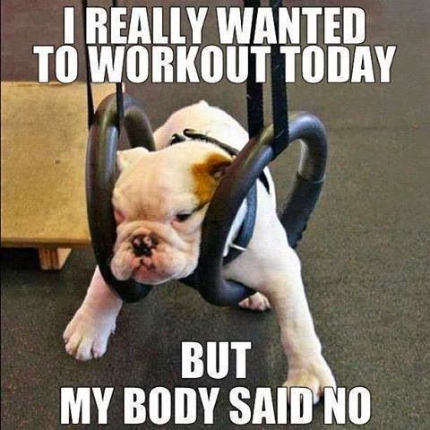 My pulled muscle be like.... (Image via Pinterest )