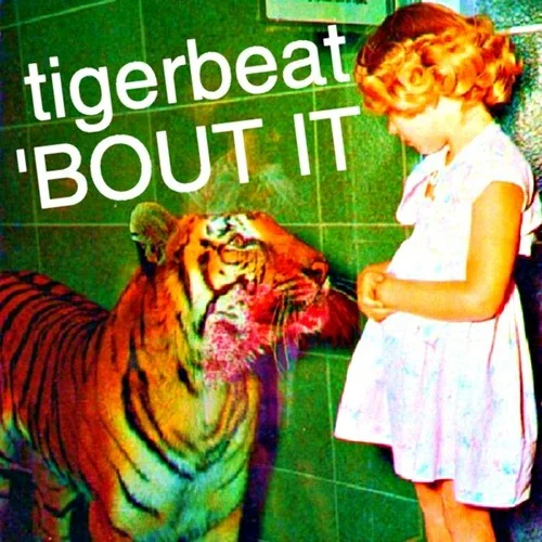 30Fresh Aces: TigerBeat