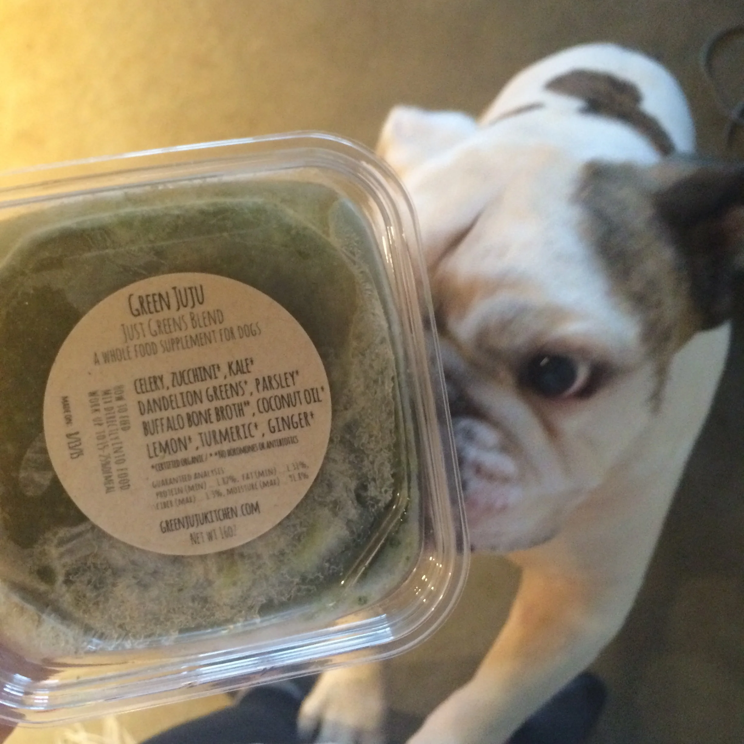 Seattle Dog Owners! Get to Know Green Juju