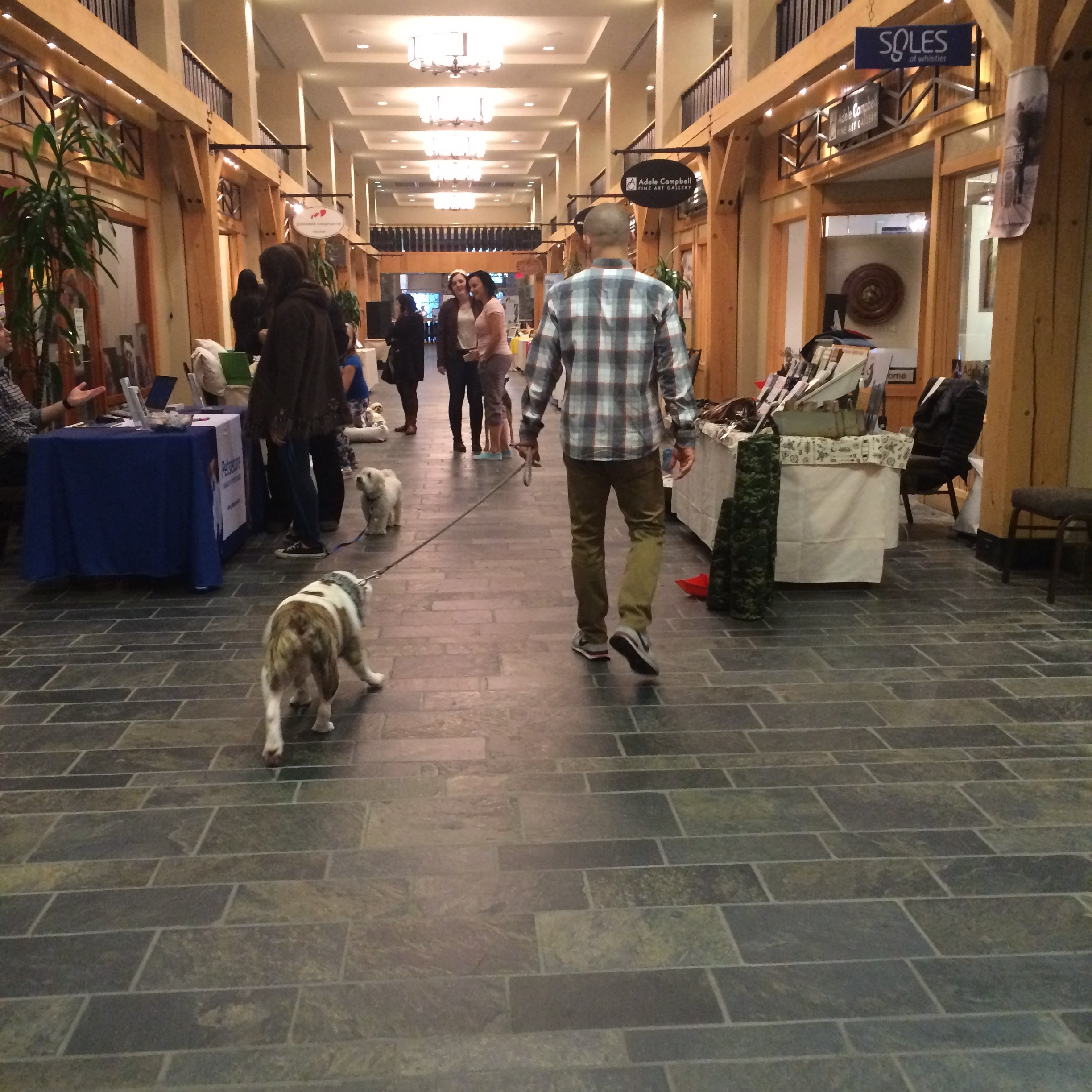 The Pet Marketplace at The Shops in Westin