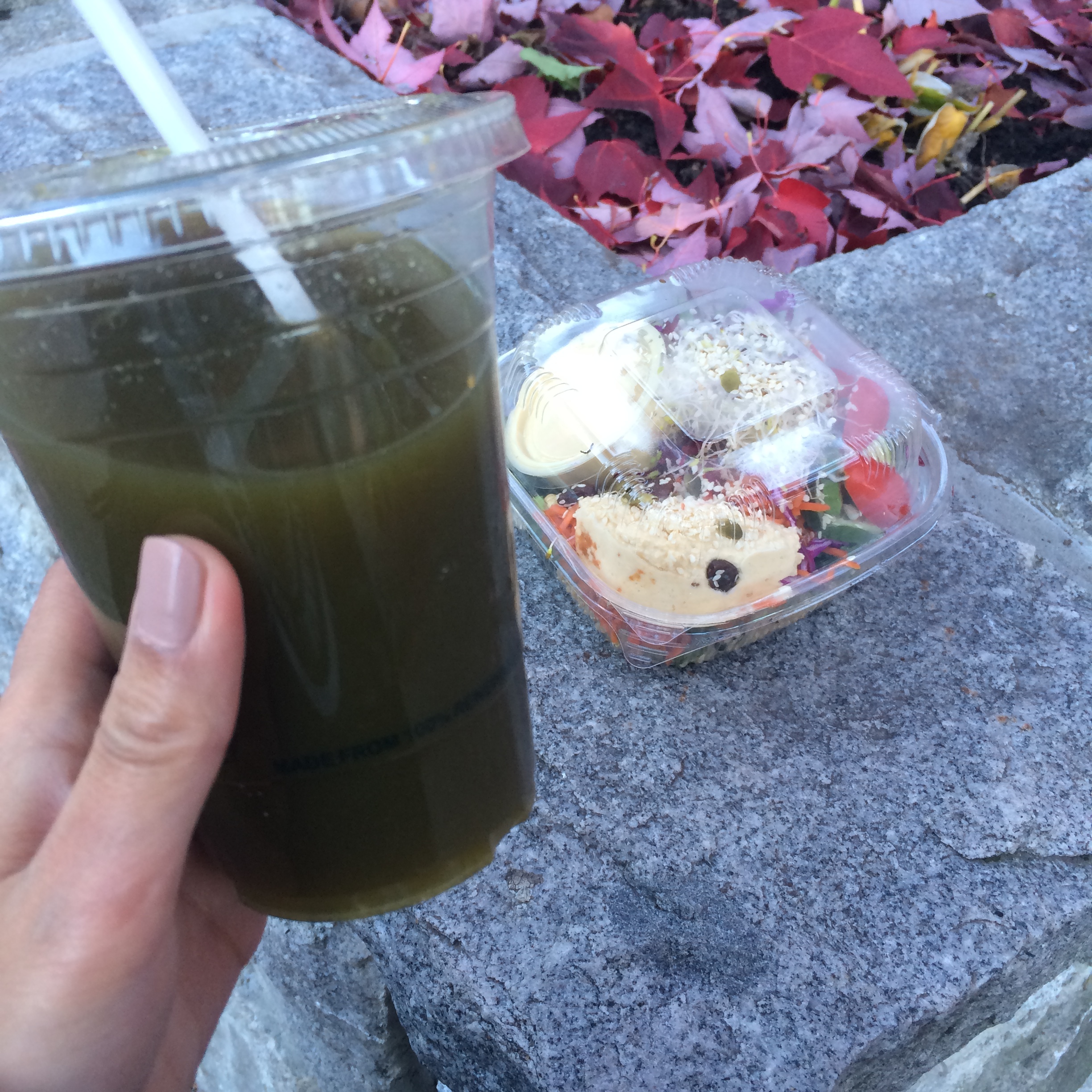 Buddha Bowl & green juice from Green Moustache for the road