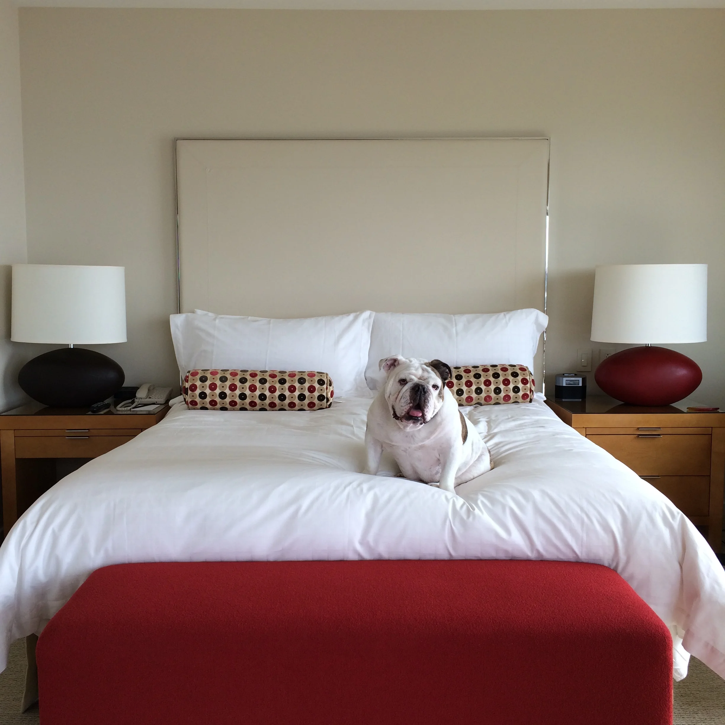 Staycation in Style at Four Seasons Seattle