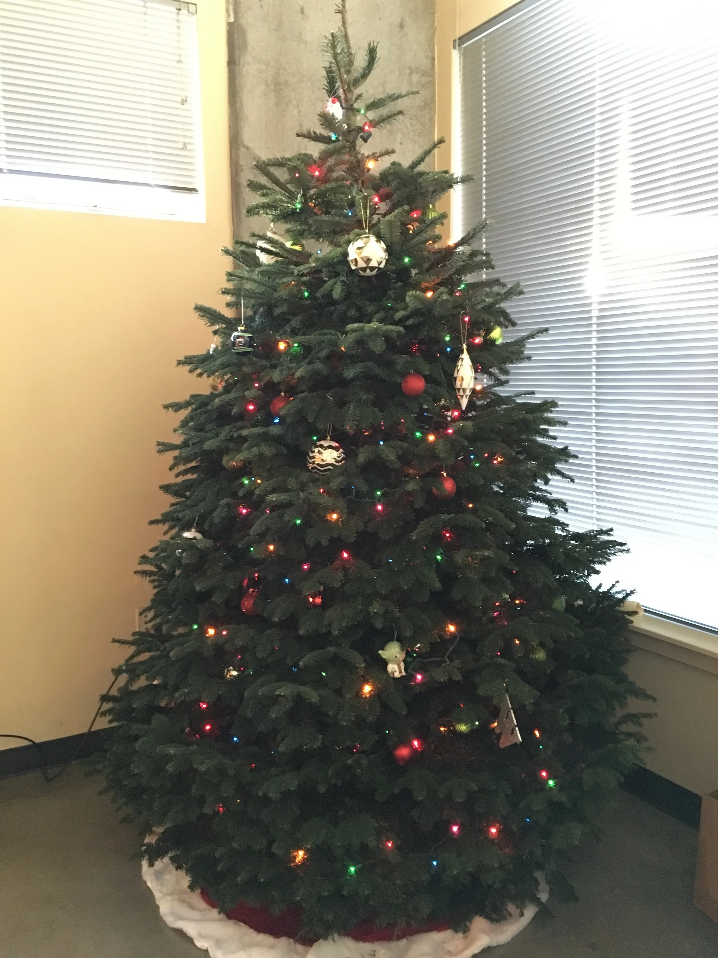 Seattle! Pick the Perfect Tree at Swansons Nursery