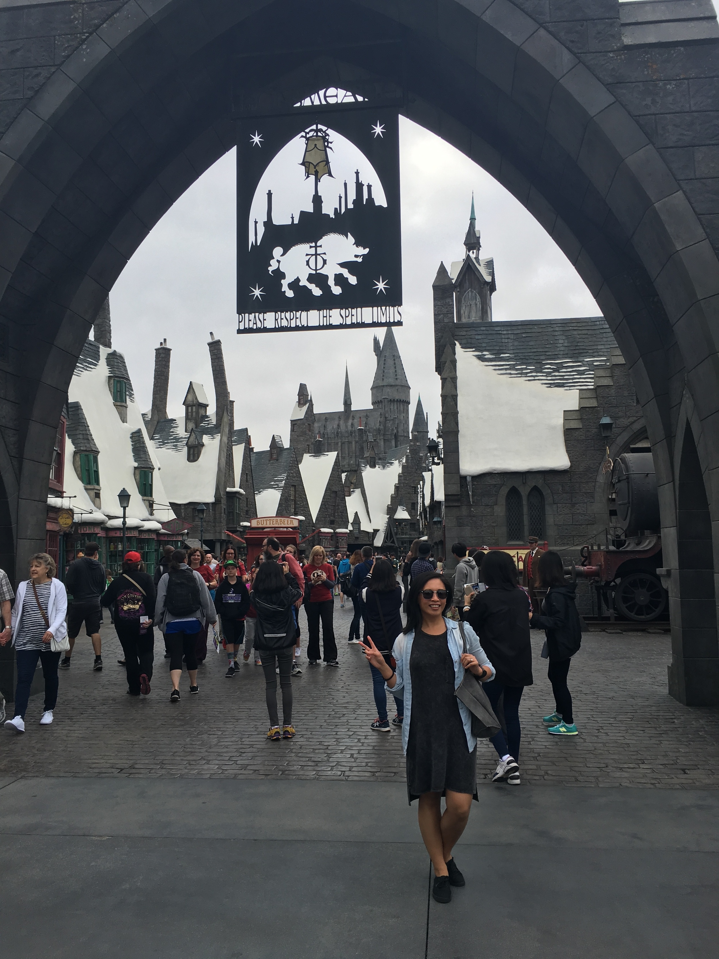 What the Wizarding World of Harry Potter Is Like