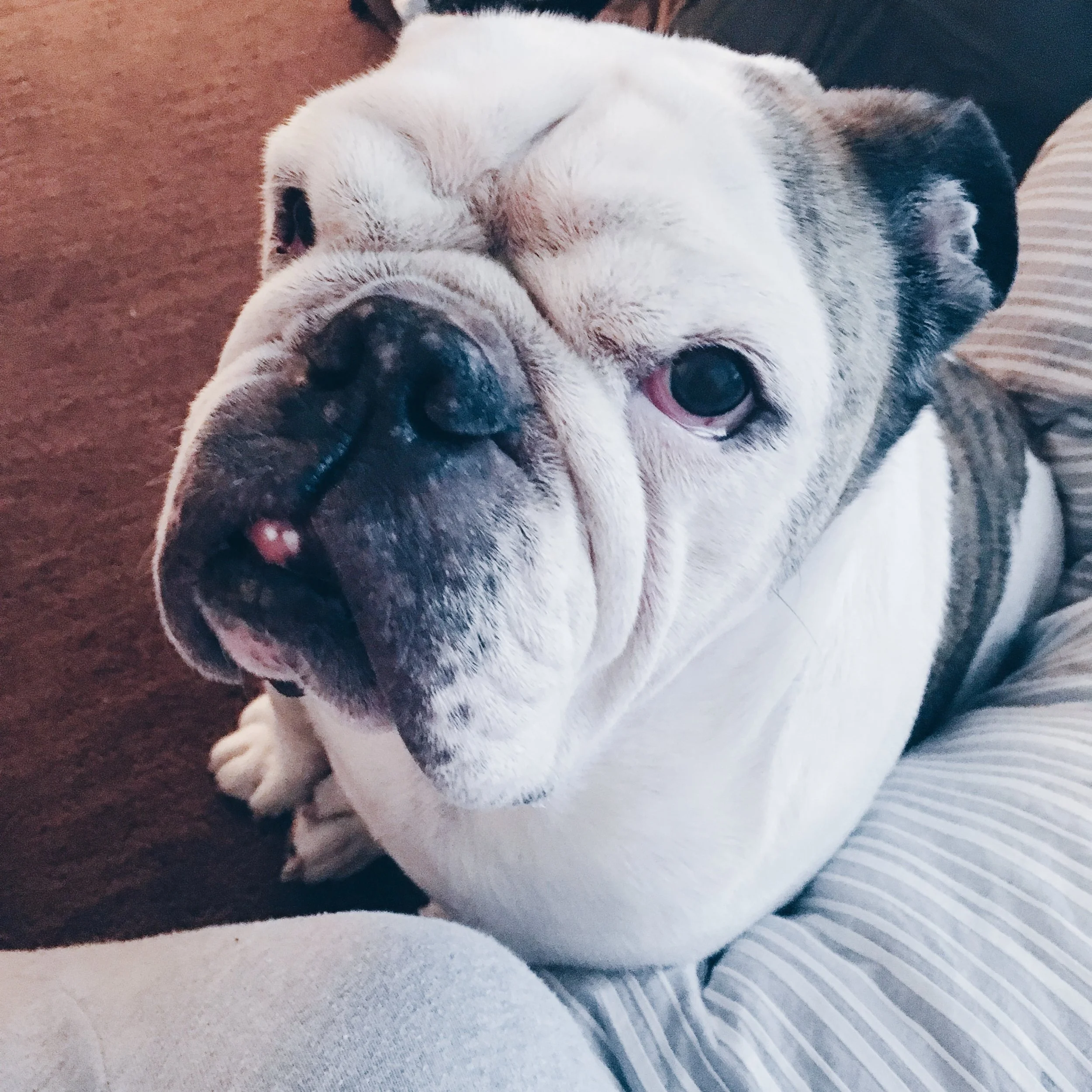 That "Don't go to work, mom!" face :(
