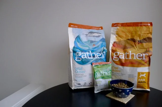 GATHER: A New Organic & Sustainable Pet Food (sponsored)