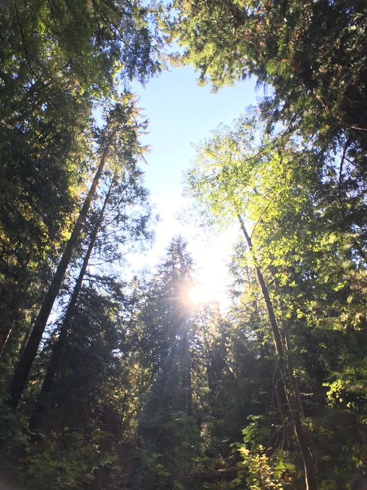 So Much Room for Activities at Alderbrook