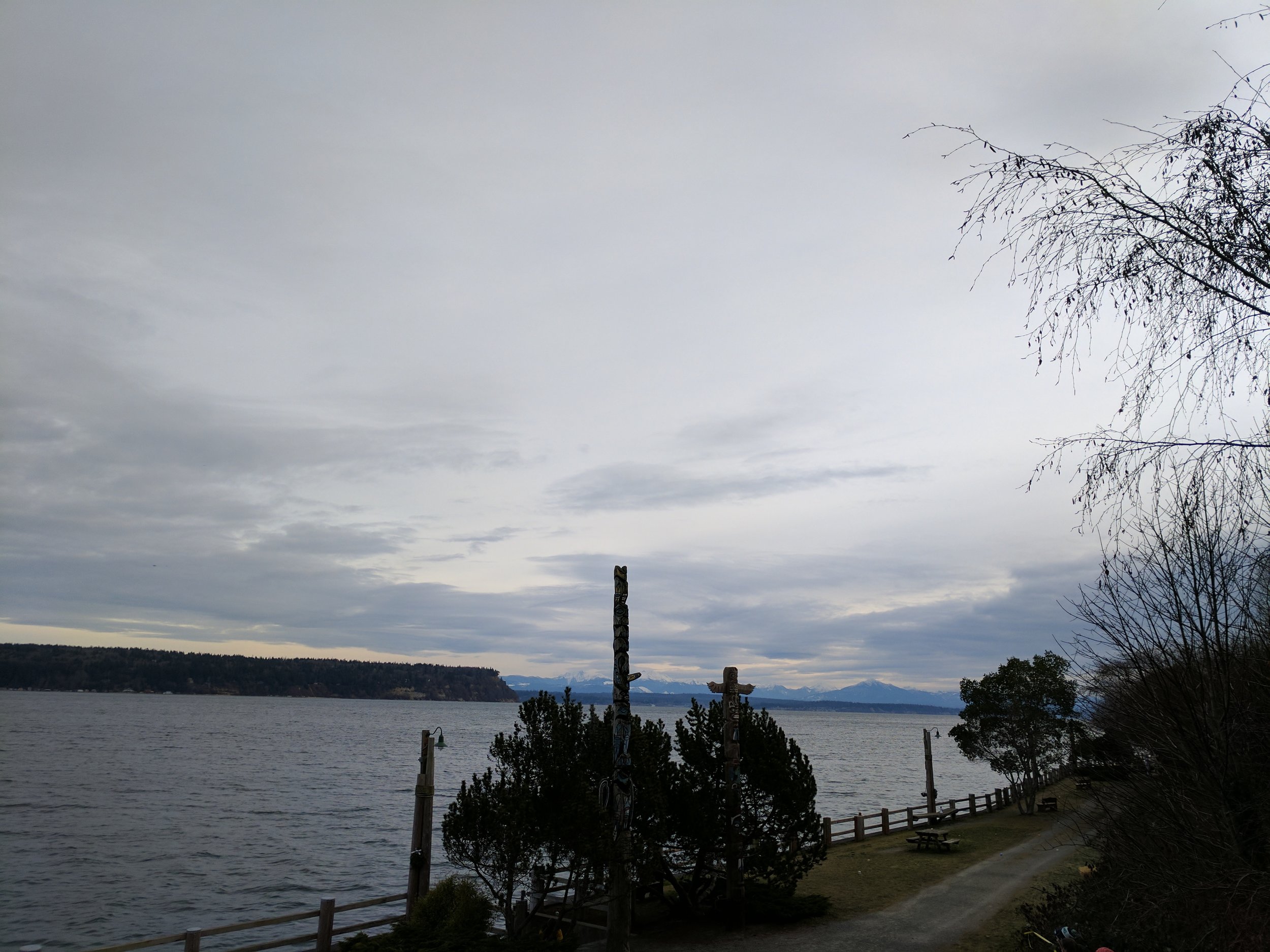IMG_20170107_095226.jpg