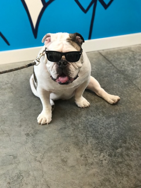 Spike's ready for summer