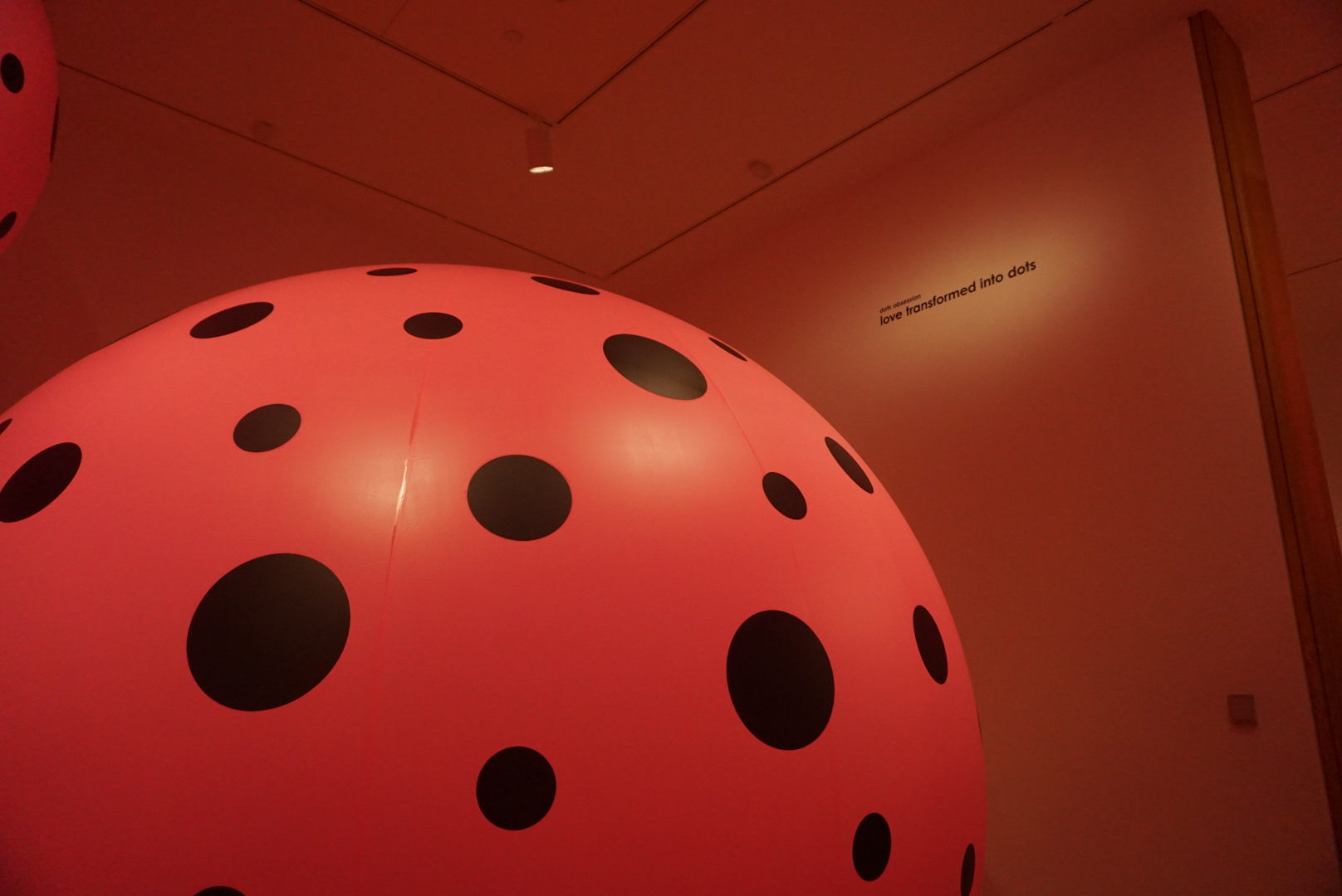 Yayoi Kusama -Seattle Art Museum 15.jpg