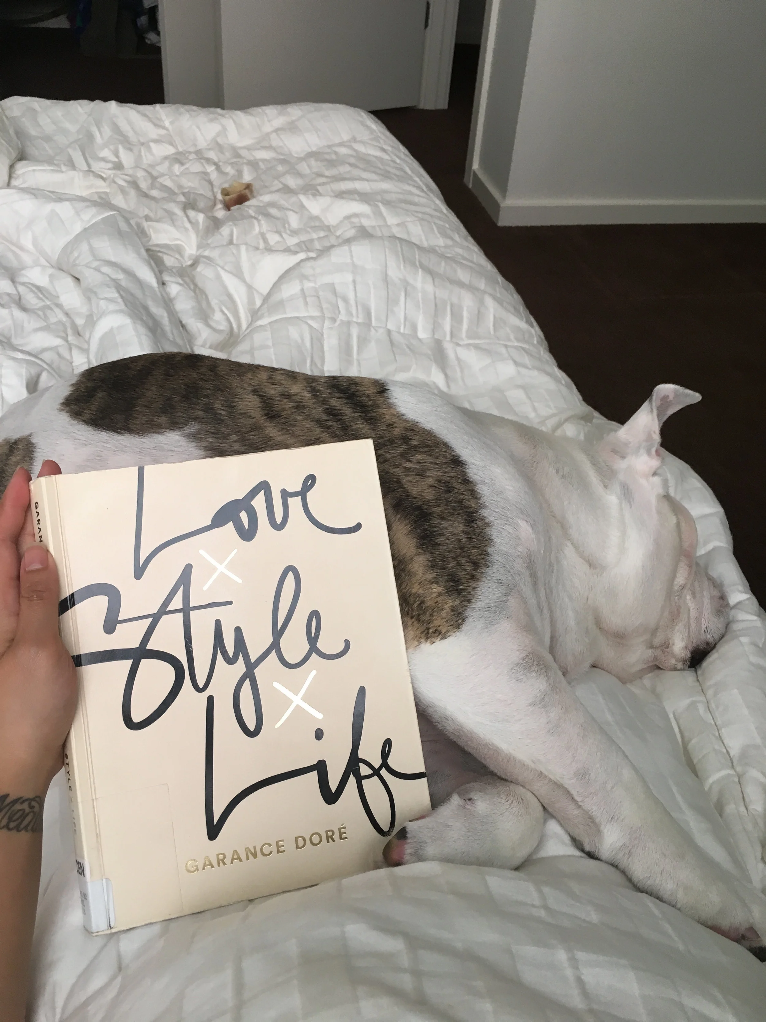 Spike & I, not wedding planning