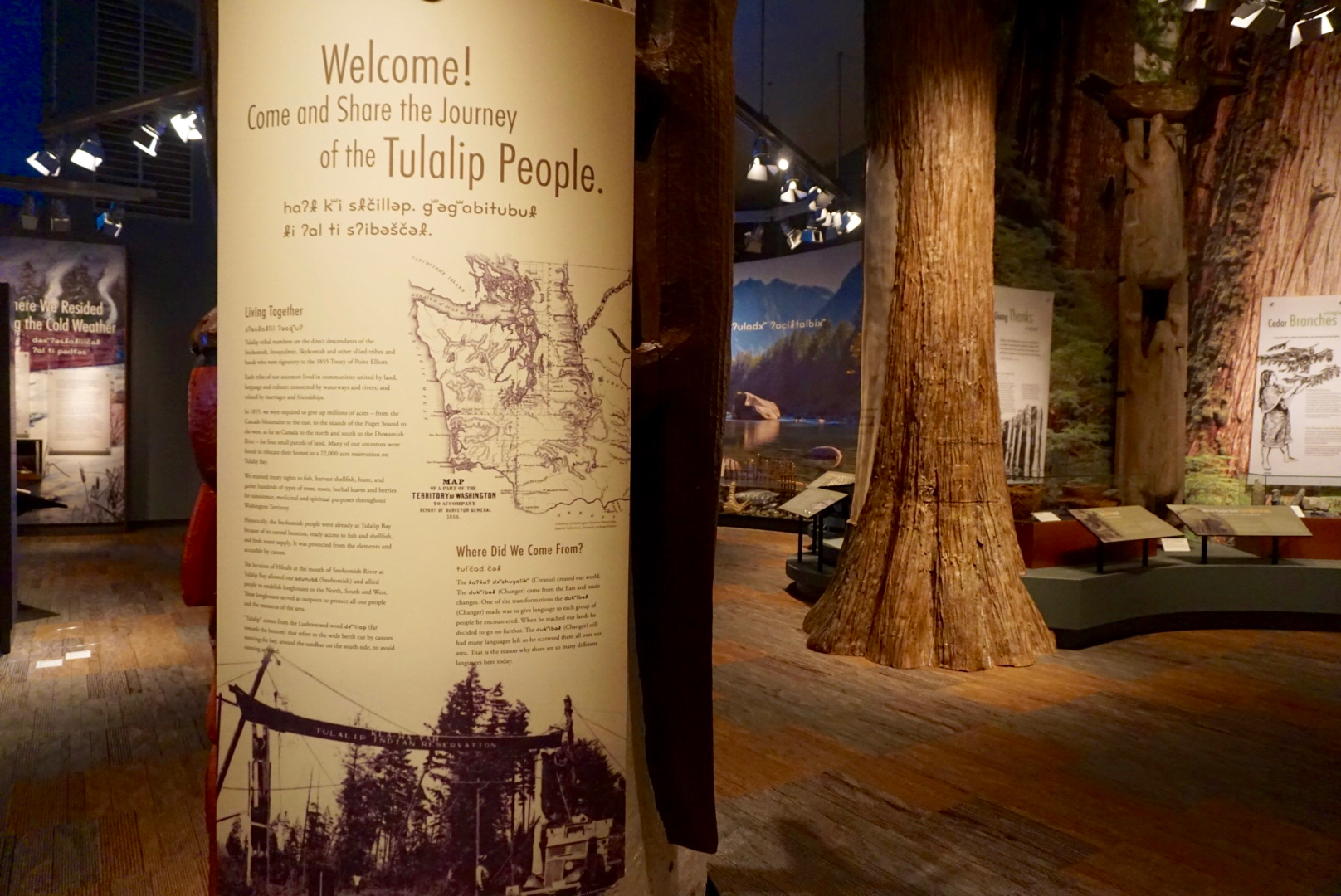 In the main exhibit area, you can learn about the natural resources the Tulalip tribes used and harvested for food, clothing, shelter, and everything in between.