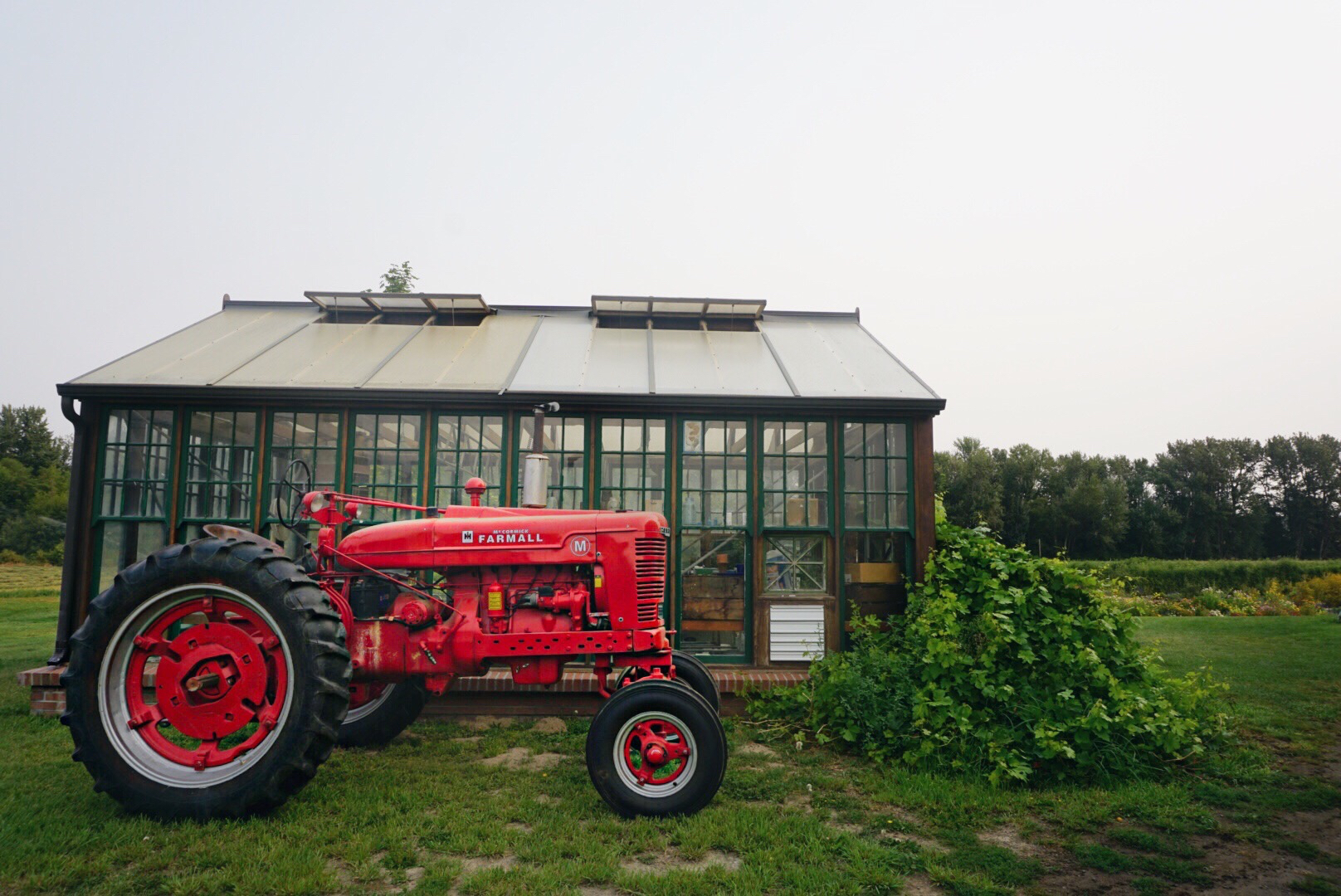 Frog Hollow Farm 4.jpg