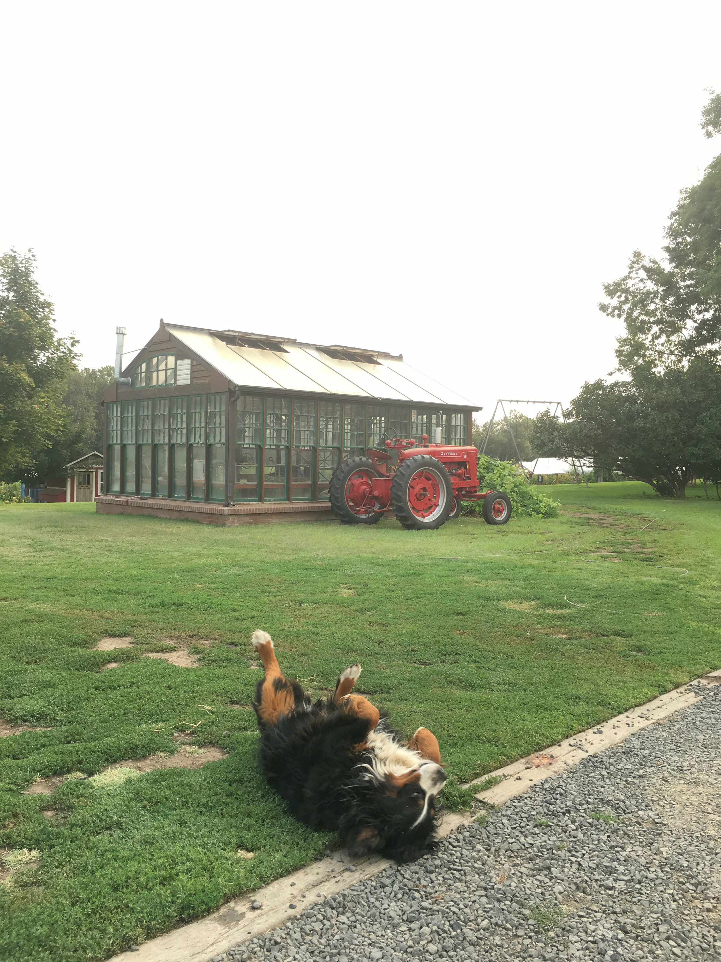 Frog Hollow Farm 8.jpg