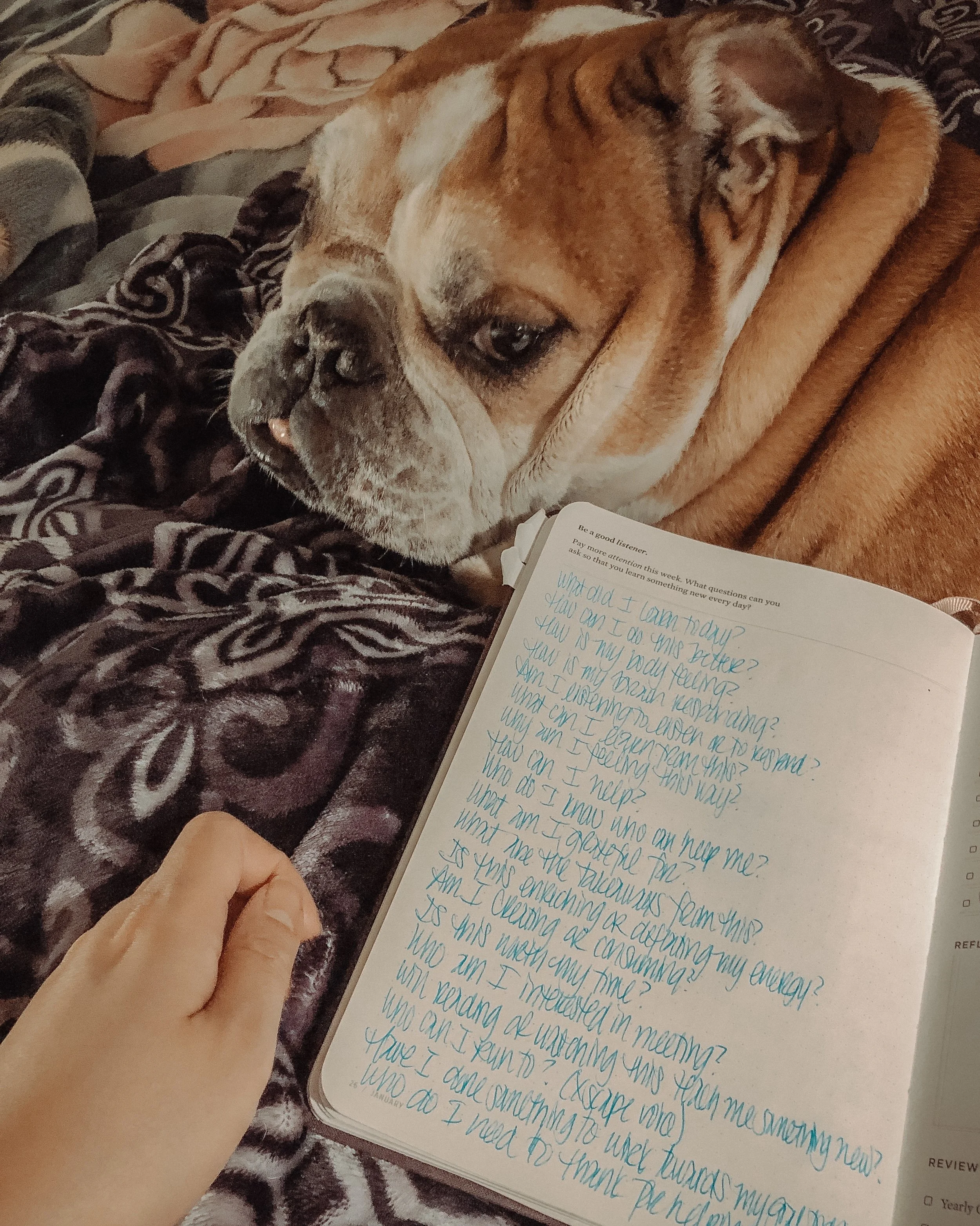 What Did I Learn Today Other Self Reflection Questions Fresh Jess