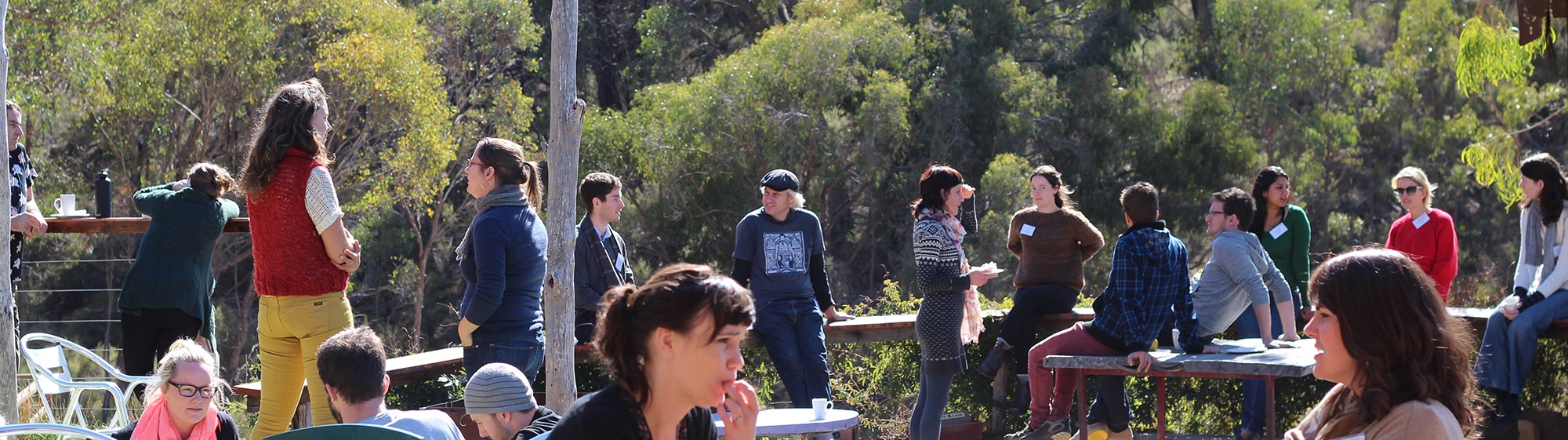 Group & trees.jpg